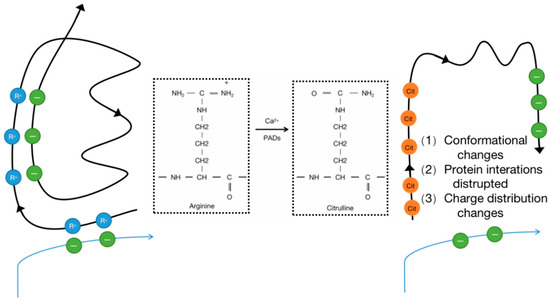 Biomolecules, Free Full-Text