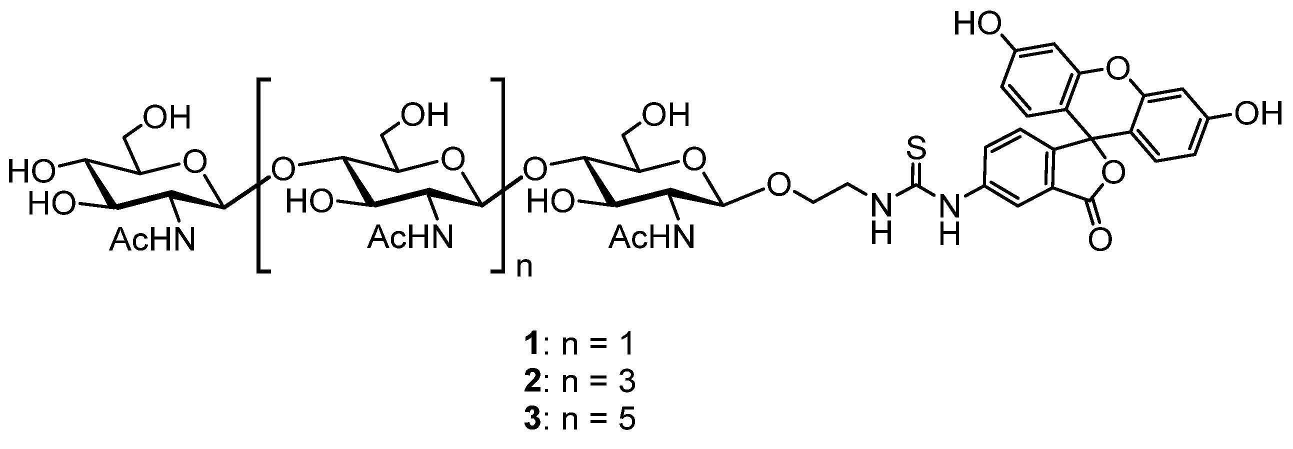 Application of the Chitooligosaccharides and Fluorescence Polarization ...