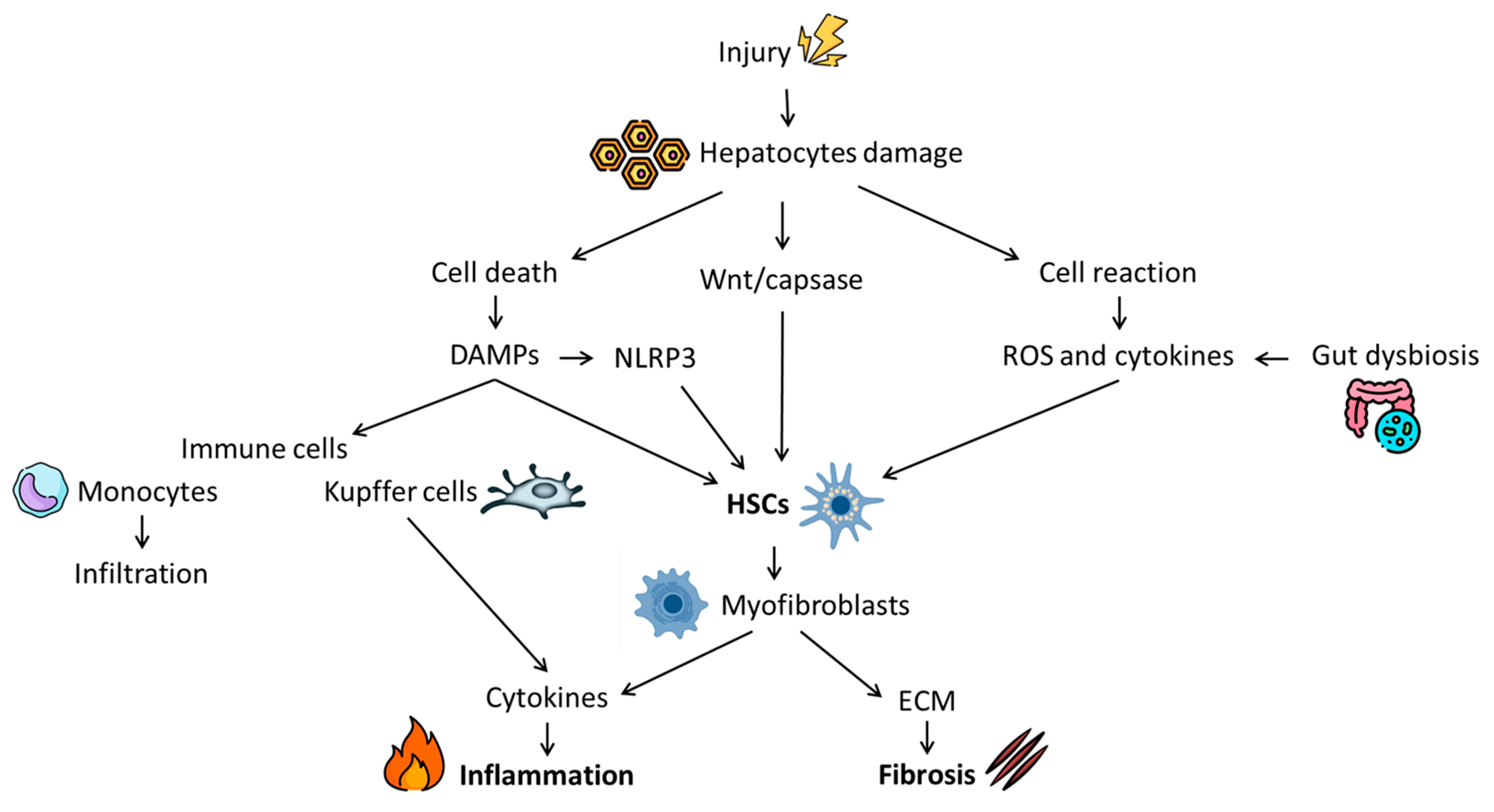 Current Treatment Regimens and Promising Molecular Therapies for  