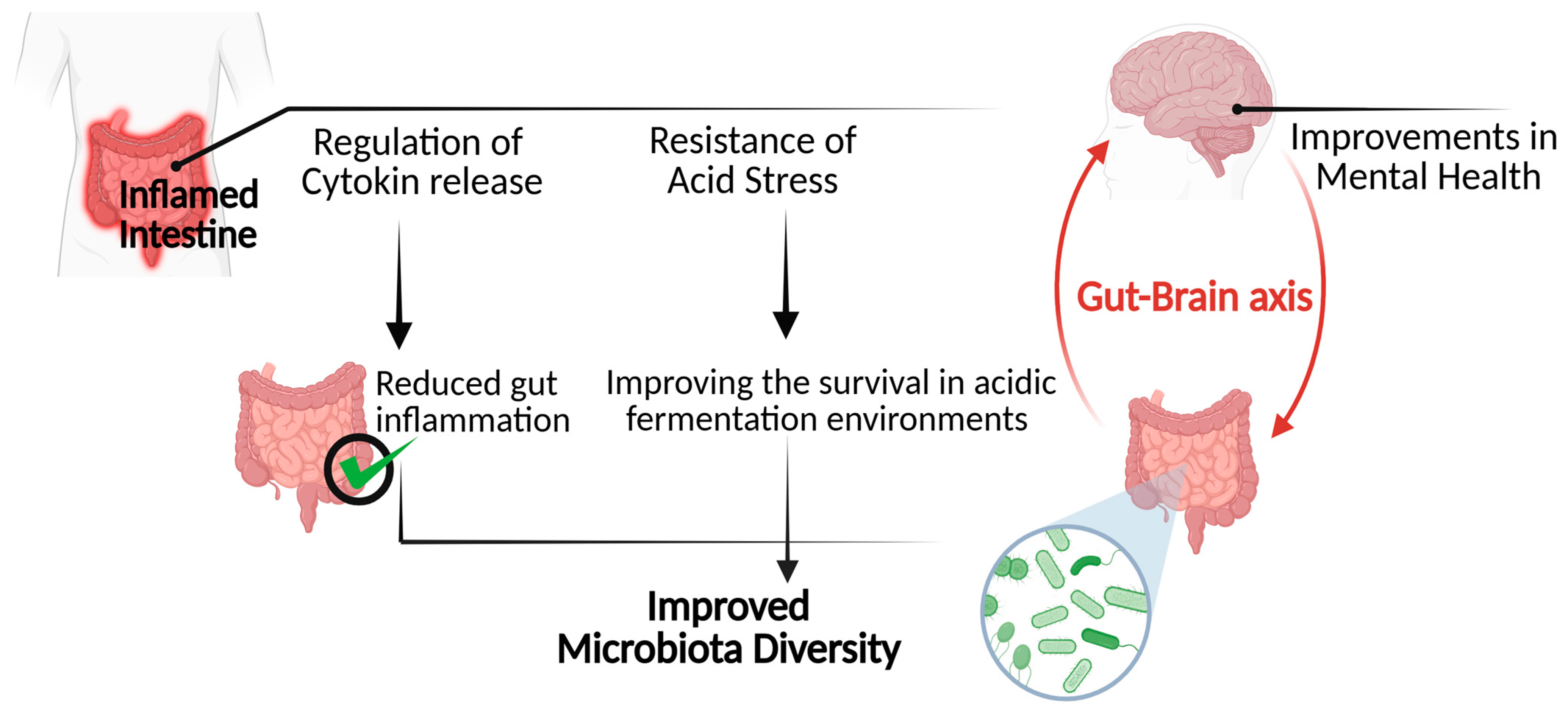 Role of γ-Aminobutyric Acid (GABA) as an Inhibitory Neurotransmitter in ...