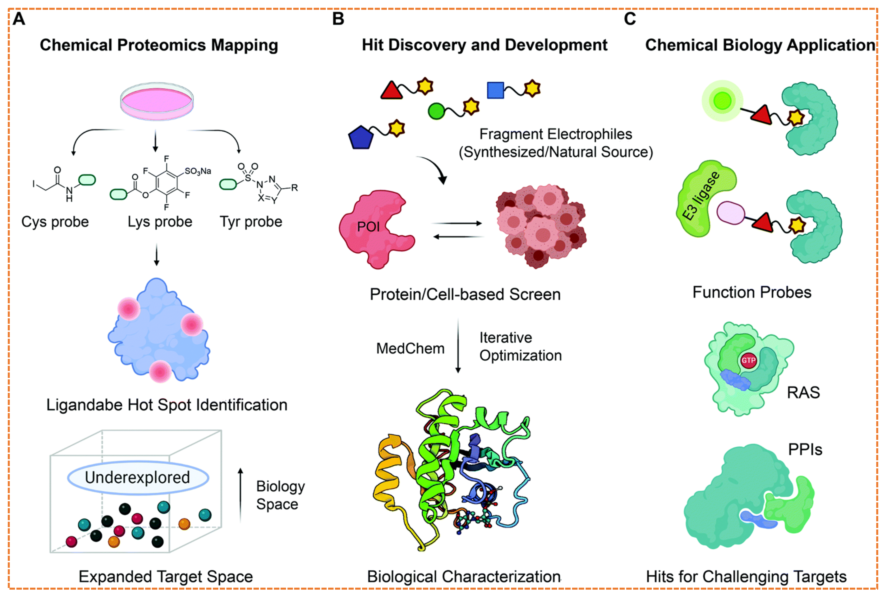Targeted Protein Degradation in Cancer: PROTACs, New Targets, and ...