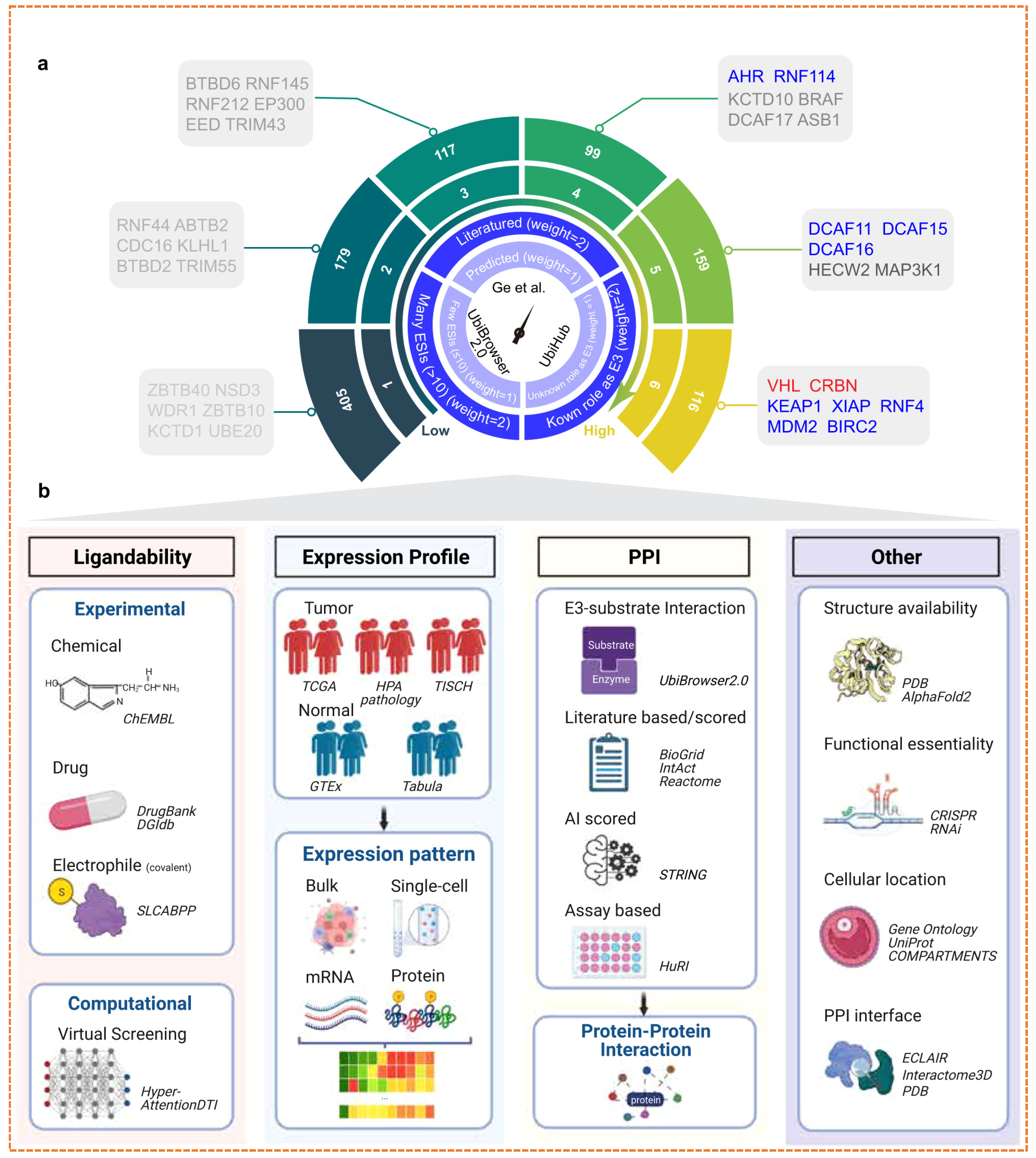 Targeted Protein Degradation in Cancer: PROTACs, New Targets, and ...