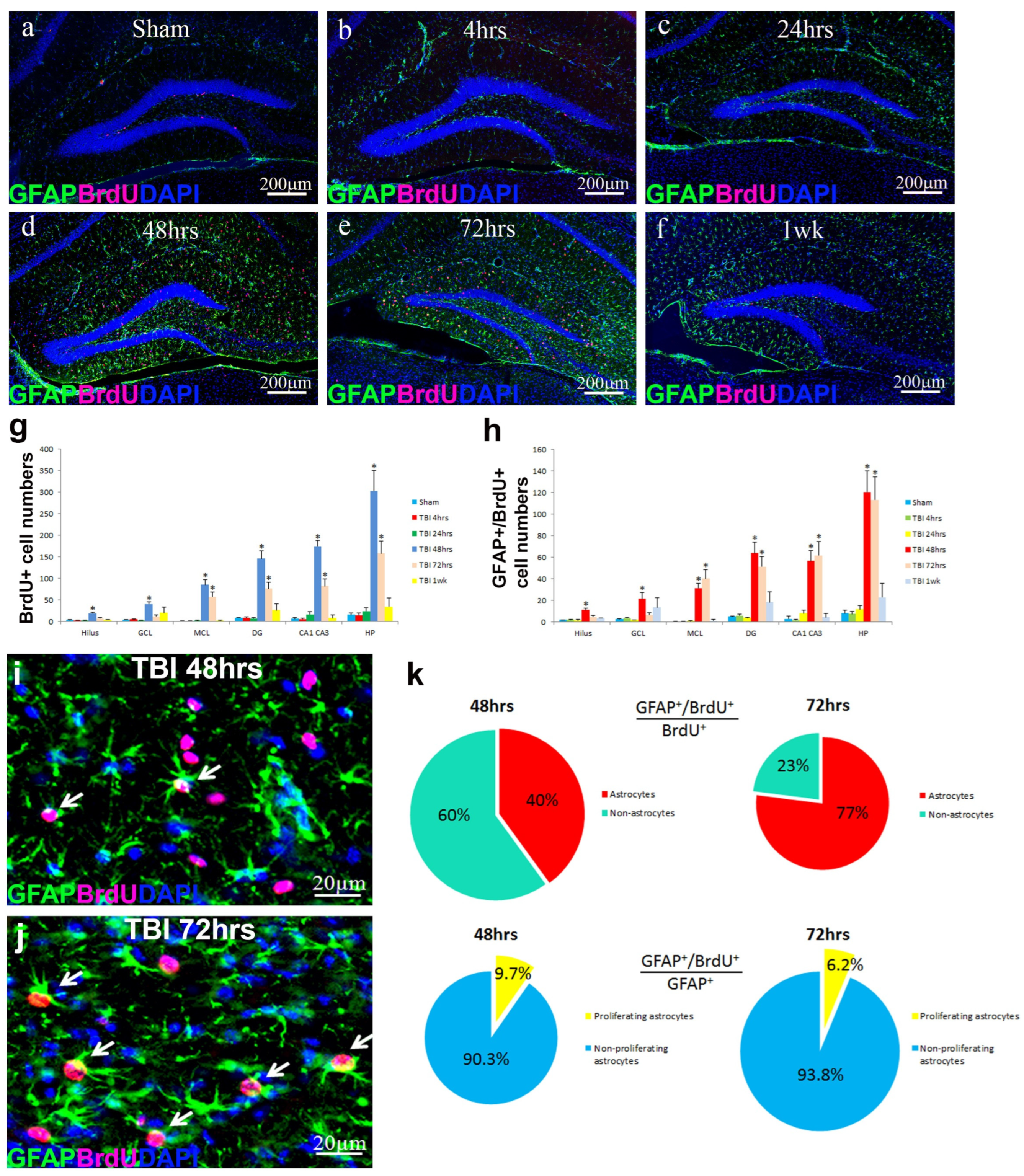 mTOR Activation Is Required for the Proliferation of Reactive ...