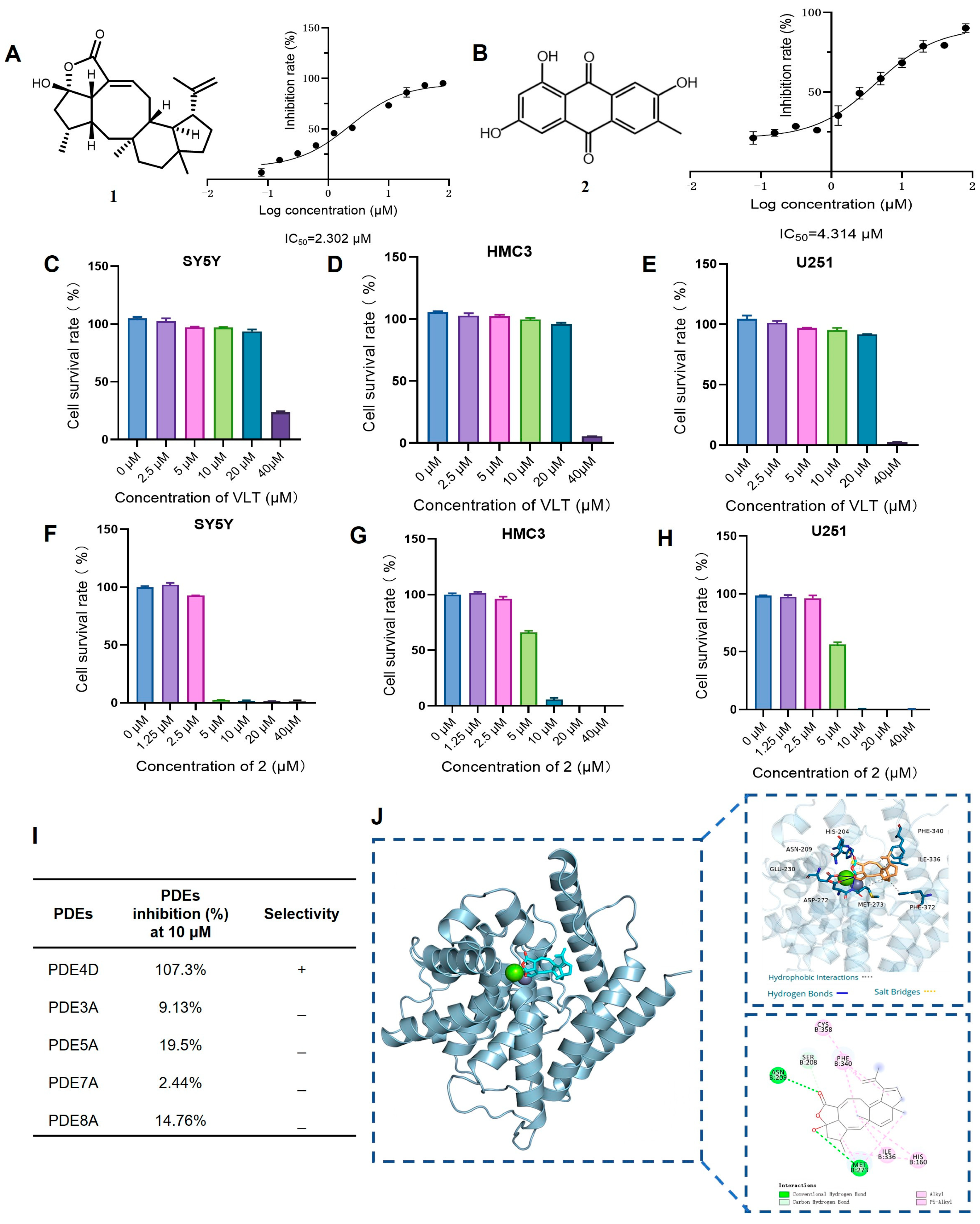 Variecolactone, a Natural PDE4 Inhibitor from Marine-Derived ...