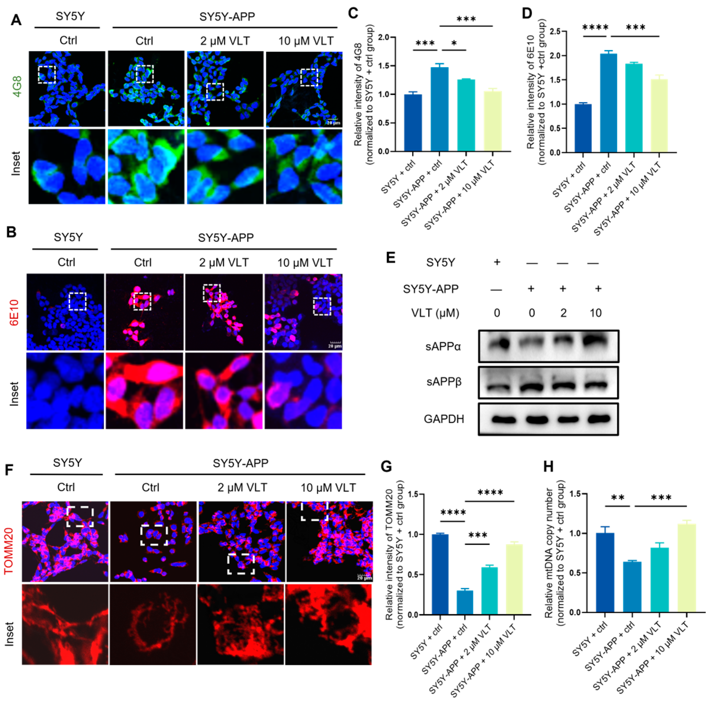 Variecolactone, a Natural PDE4 Inhibitor from Marine-Derived ...