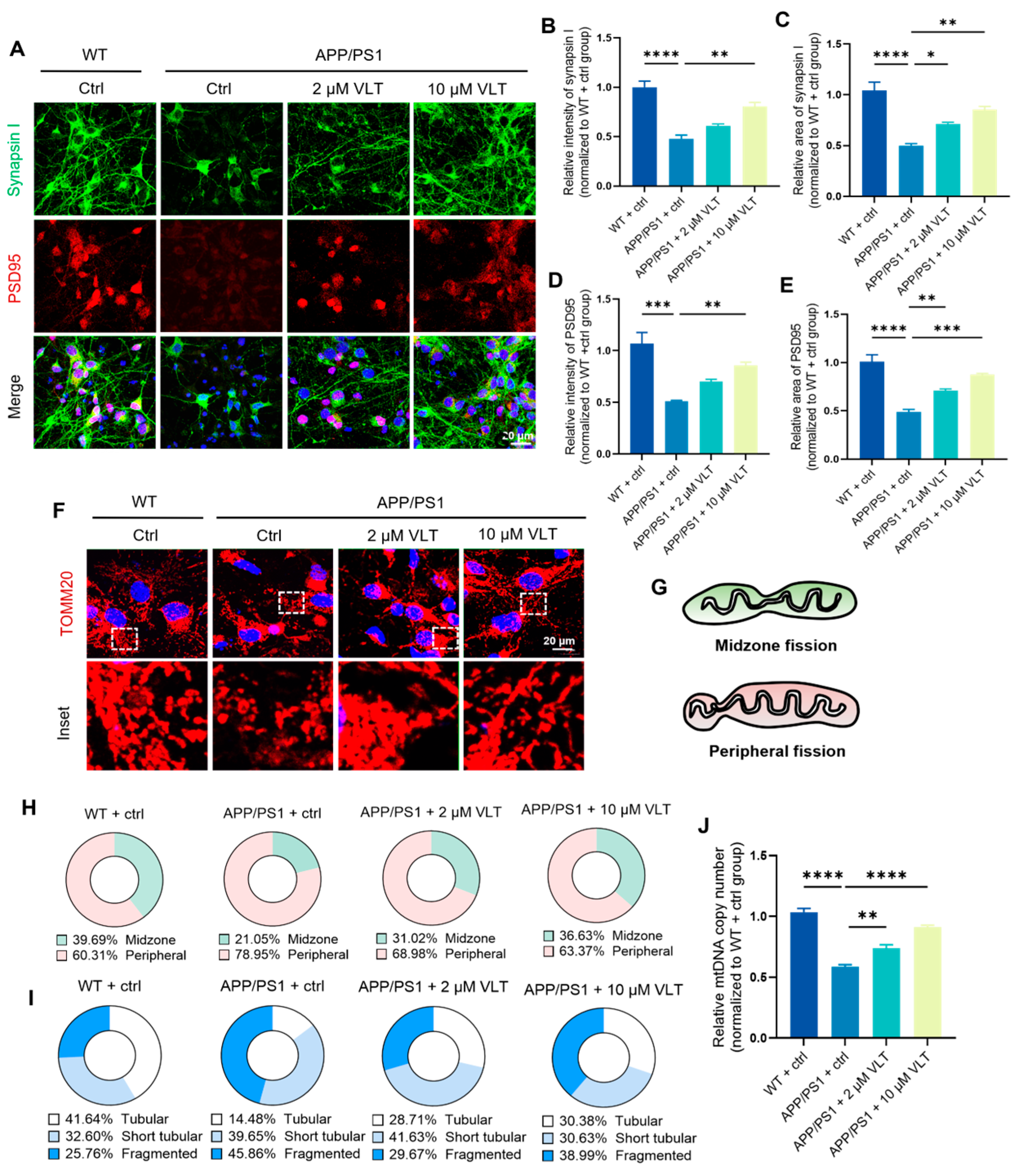 Variecolactone, a Natural PDE4 Inhibitor from Marine-Derived ...