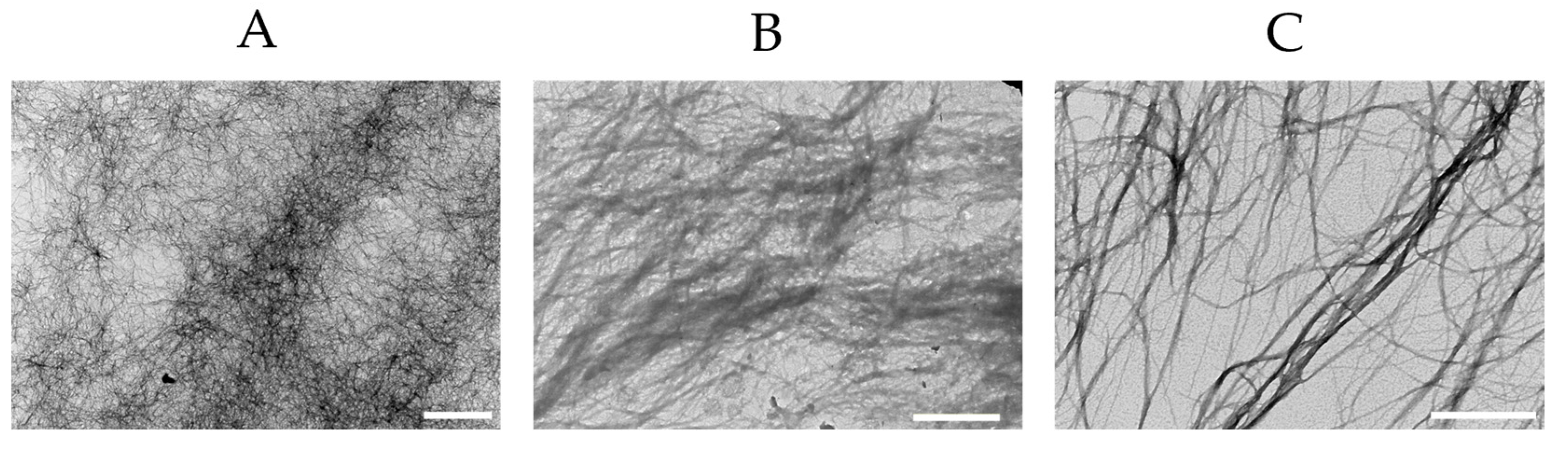 Subfibrillose Rings Self-Assembly of Amyloid Fibrils into Fibrillar Superstructure ...