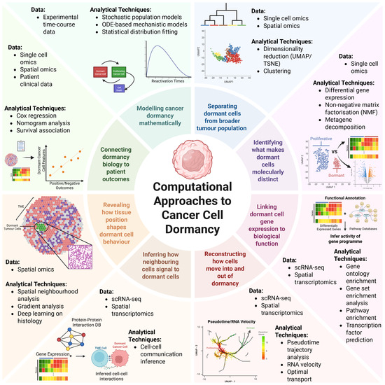 Computational Approaches to Cancer Cell Dormancy: From Detection to ...