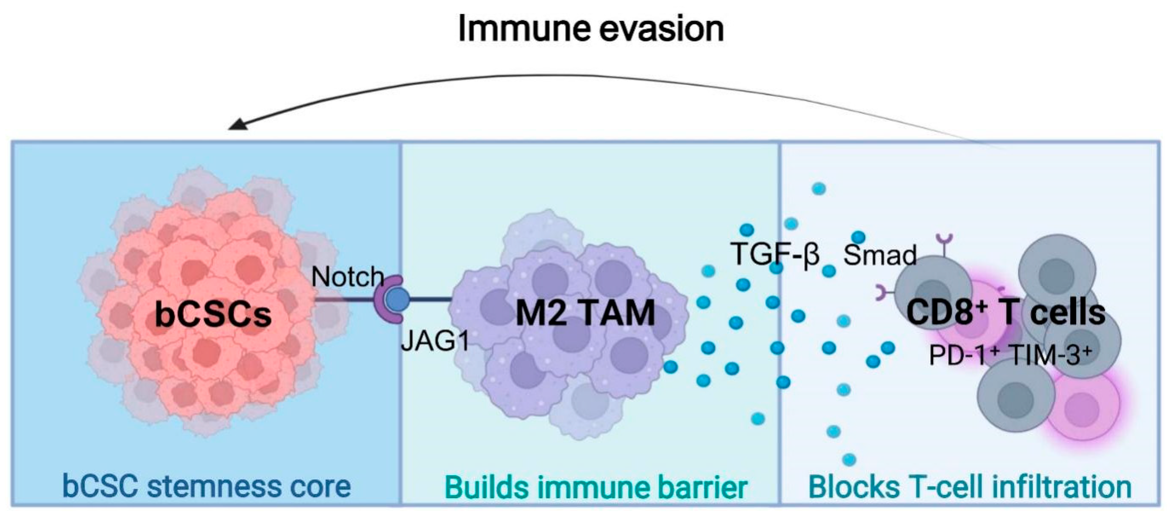 From State, Pathway, to Niche: The Ternary Network of Breast Cancer ...