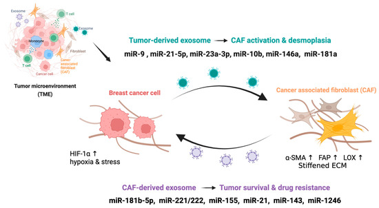 Exosomal MicroRNAs as Drivers of Desmoplasia and Treatment Resistance ...