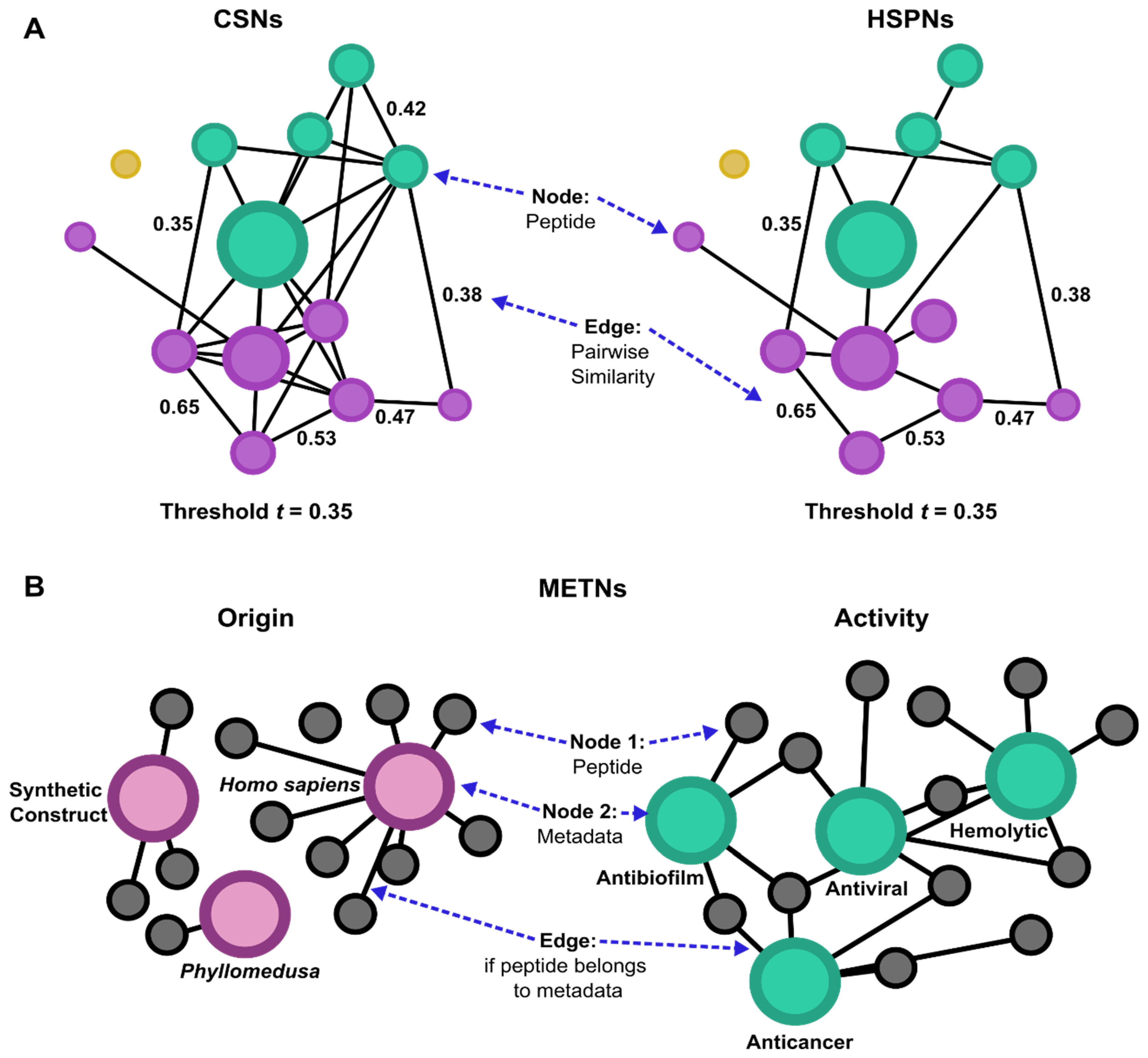 Complex Networks in Bioactive Peptide Research: A Methodological Review