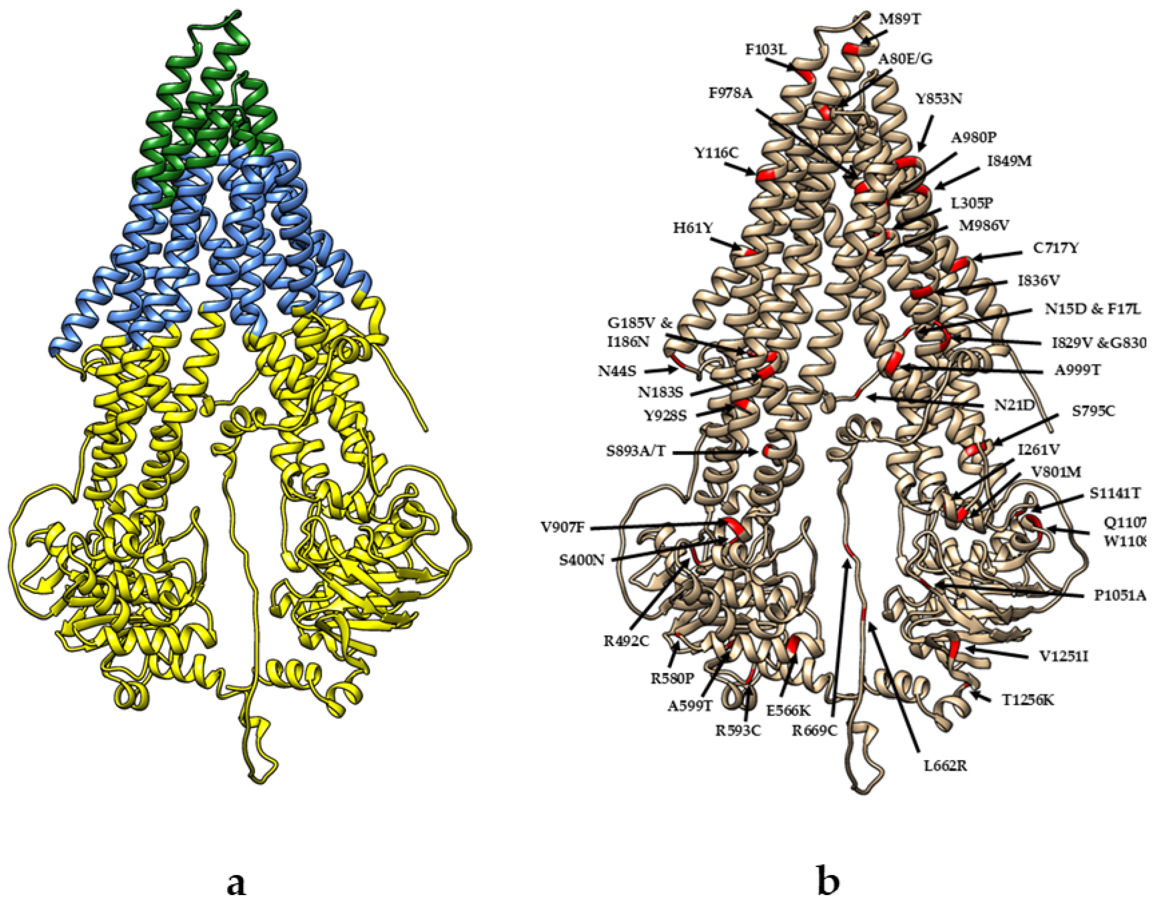 Effects of Amino Acid Point Mutations on the Local Hydrophobicity ...