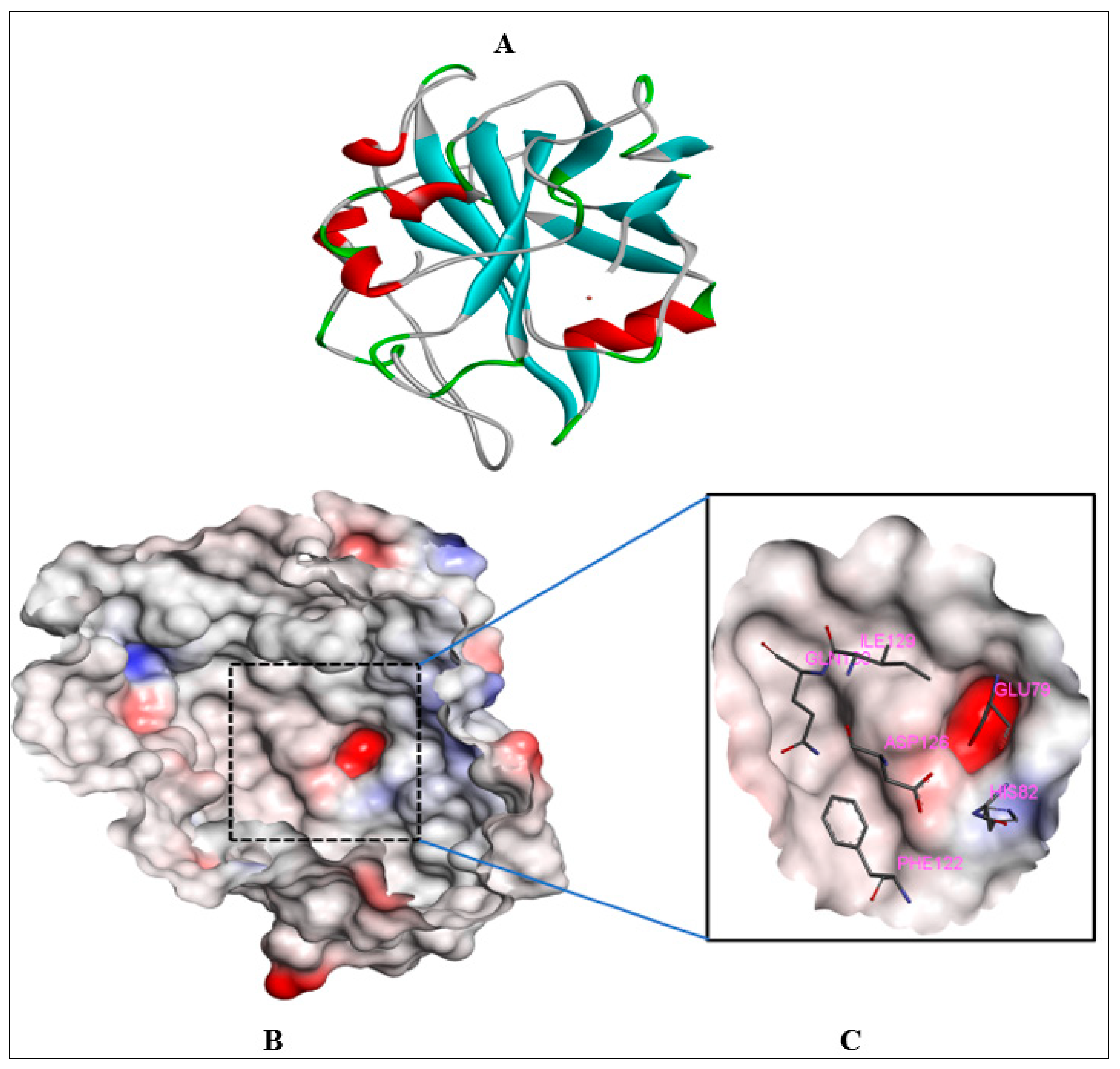 Targeting β-Lactose with AA9 Lytic Polysaccharide Monooxygenase (LPMO ...