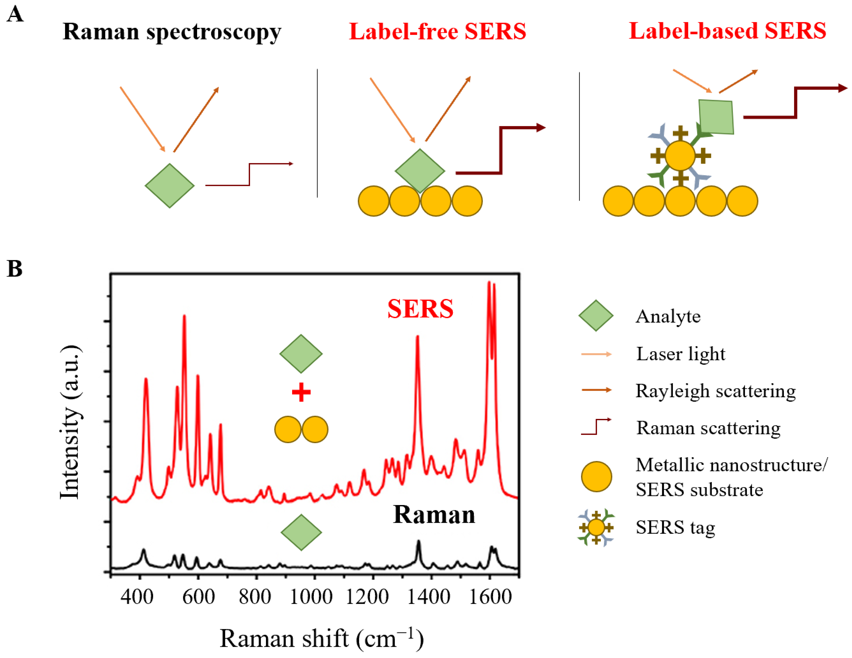 suerte puesto huella Biosensors | Free Full-Text | Application of Raman Spectroscopic Methods in  Food Safety: A Review