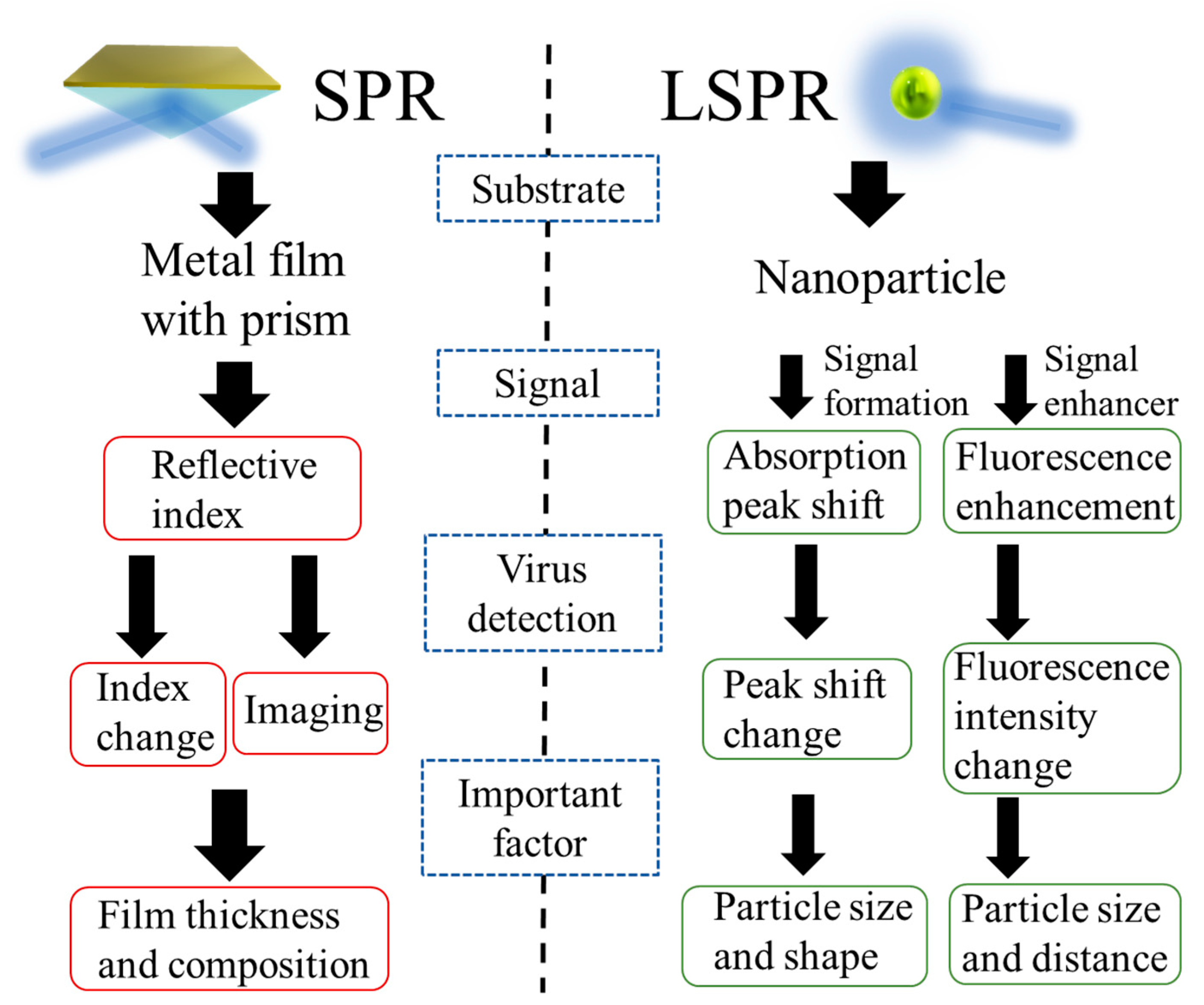 Biosensors Free Full Text Surface Plasmon Resonance SPR and