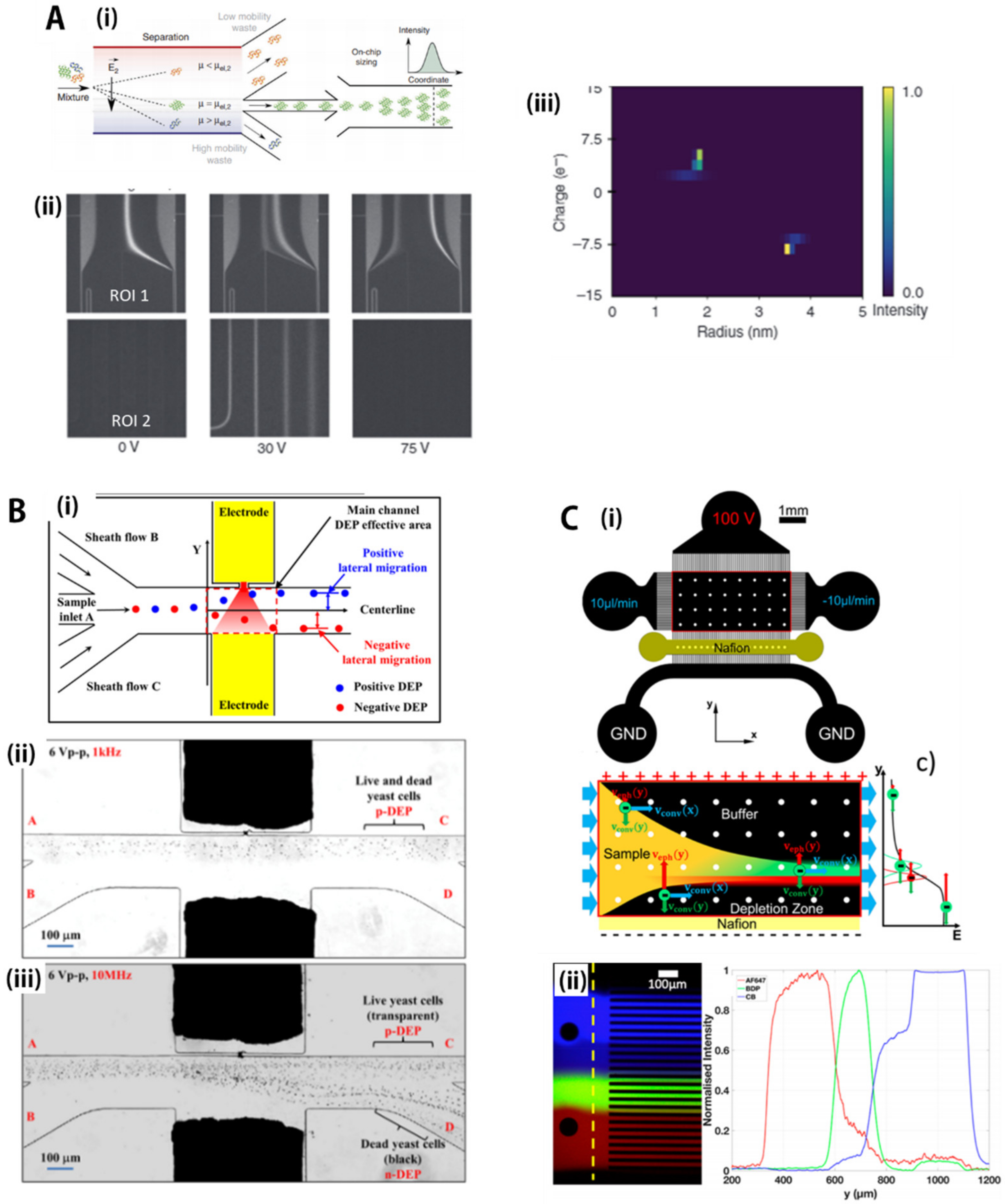 Biosensors | Free Full-Text | Progress of Microfluidic Continuous 