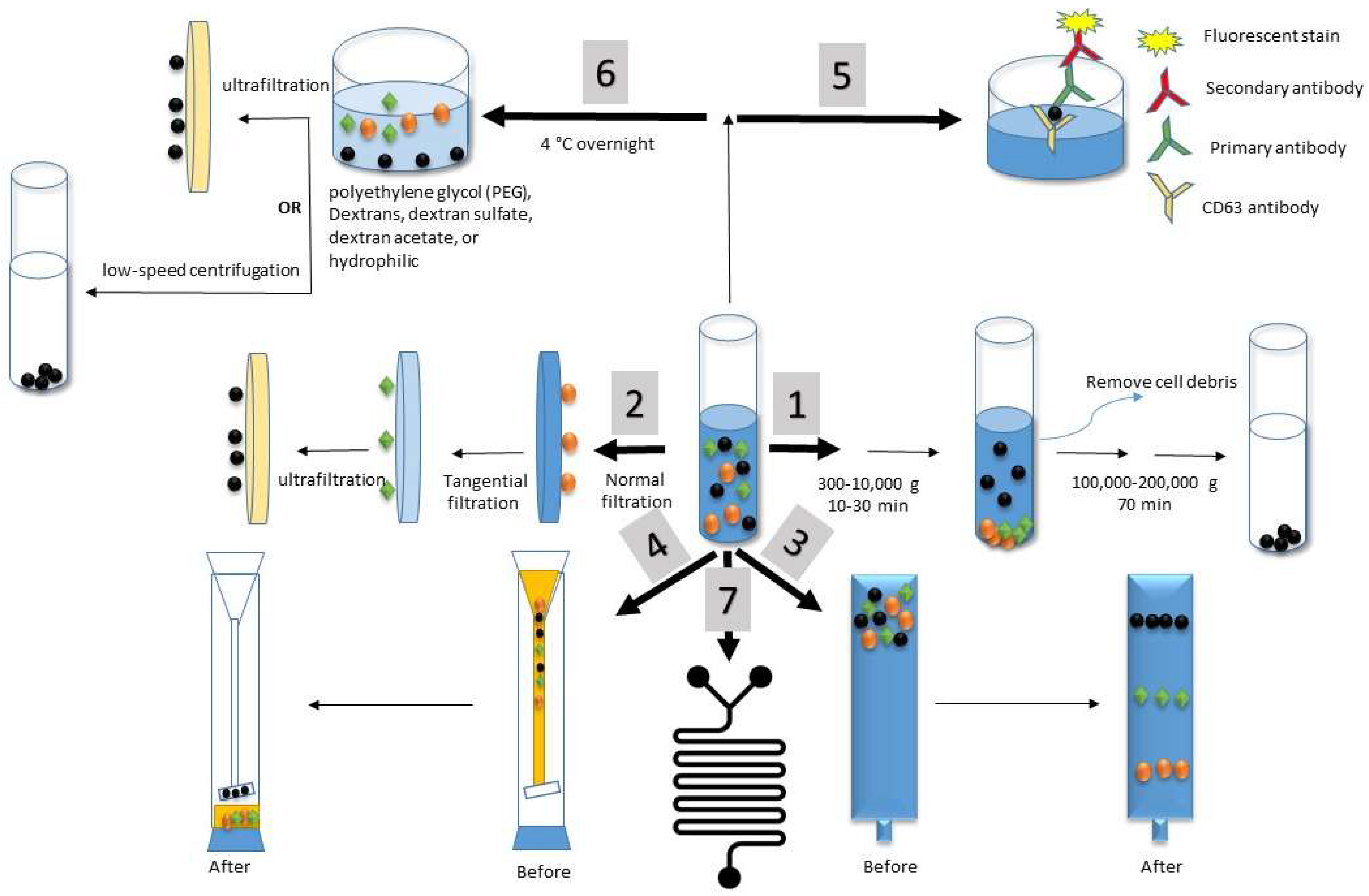 Exosome-templated nanoplasmonics for multiparametric molecular profiling