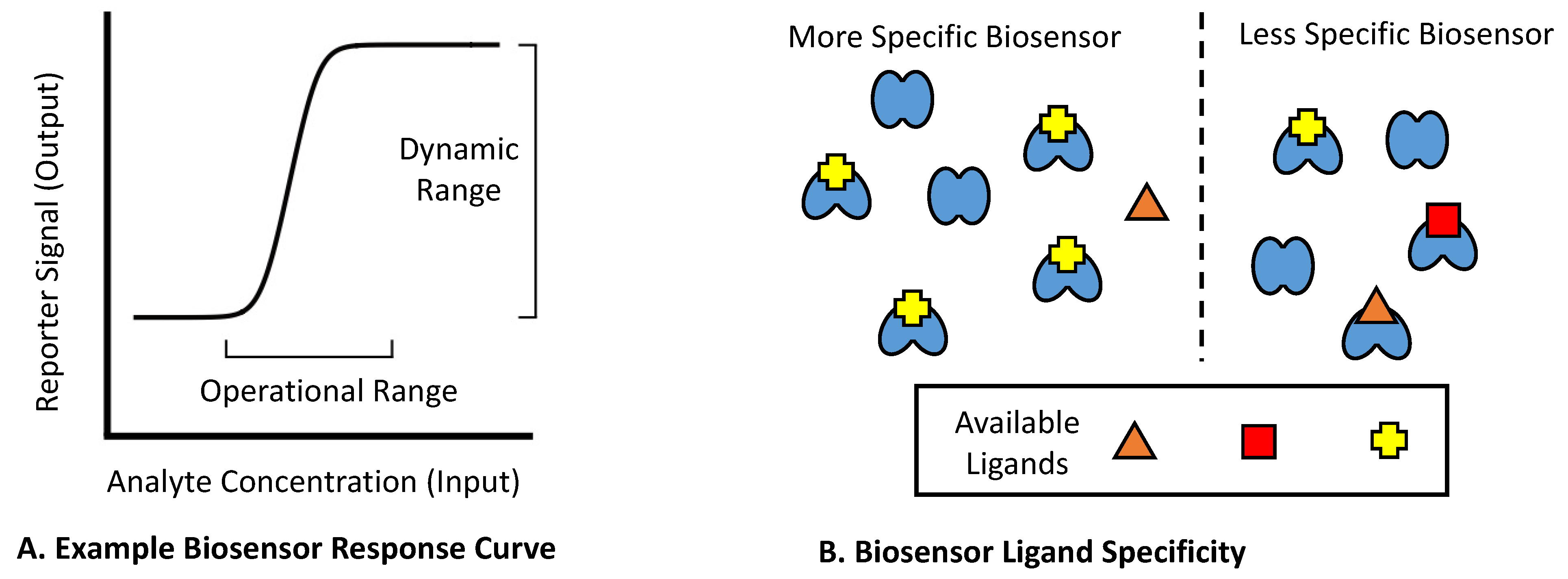 Biosensors | Free Full-Text | Strategies for Improving Small 
