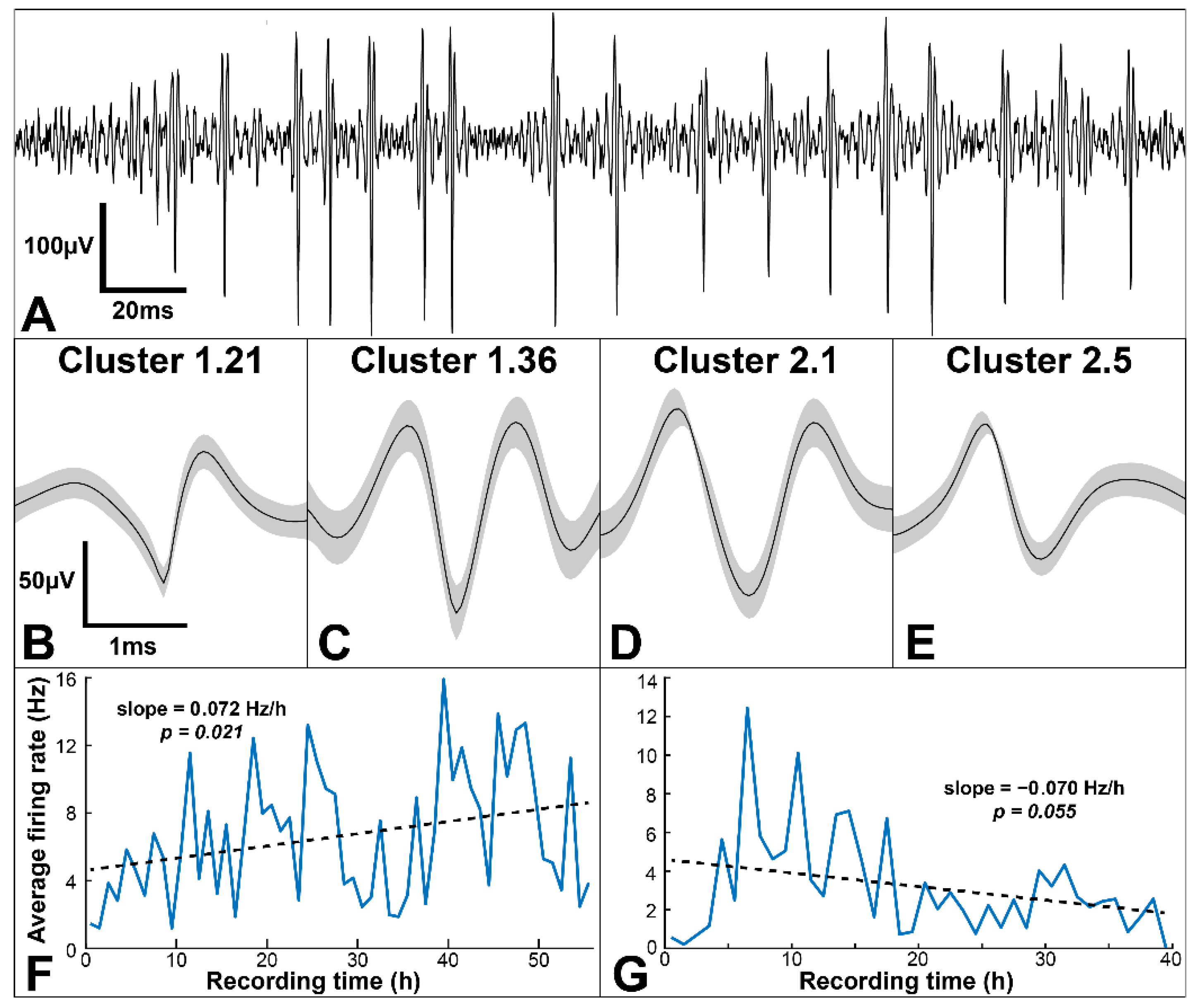 Handheld Vagus Nerve Stimulator Gets Emergency Approval for COVID-19 Use -  IEEE Spectrum