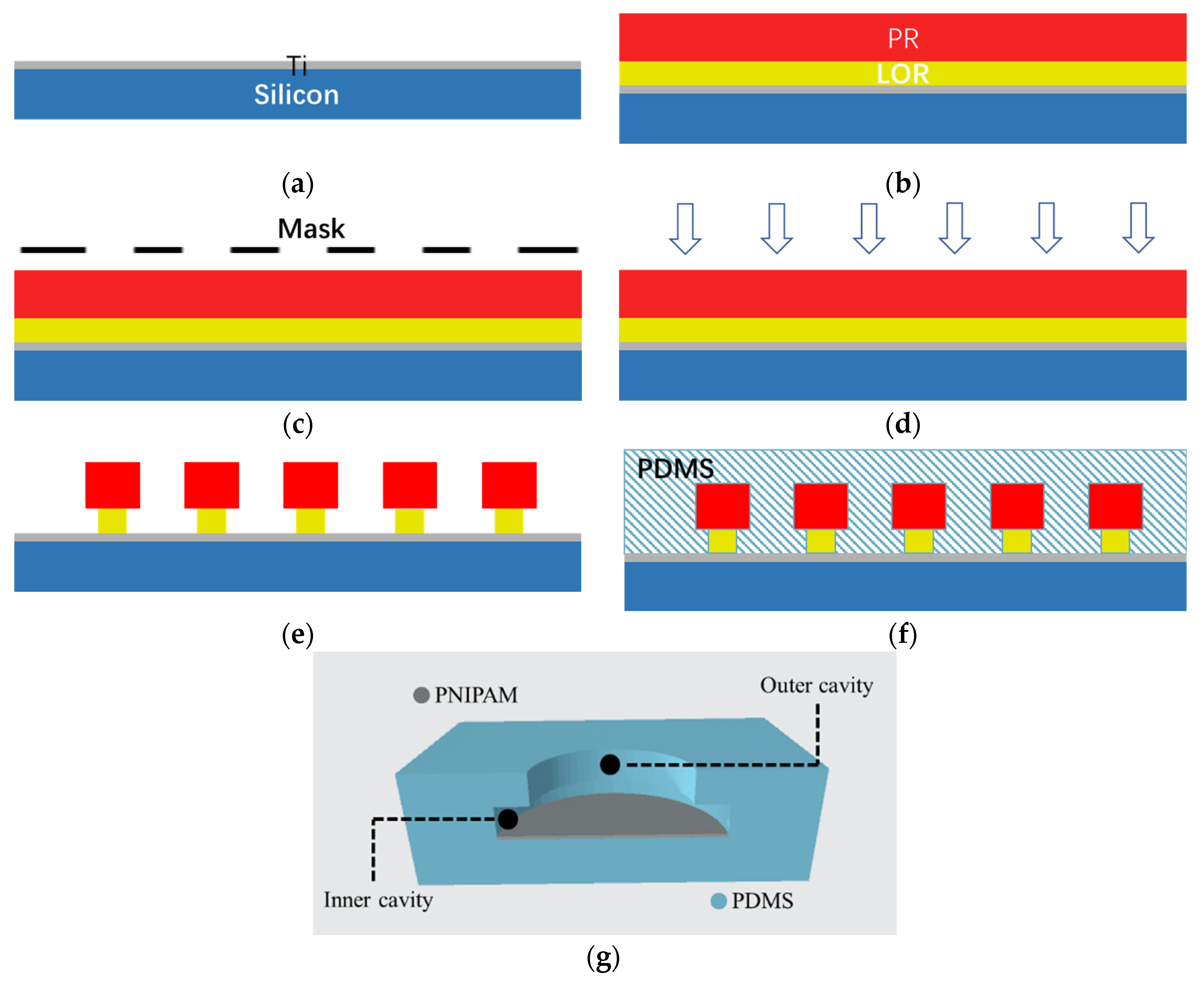 A wet-tolerant adhesive patch inspired by protuberances in suction