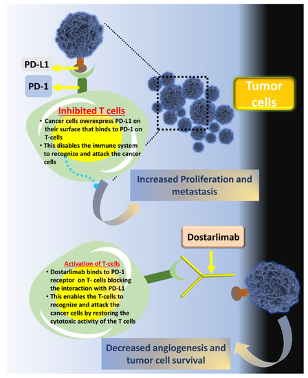 Biosensors | Free Full-Text | Dostarlimab As A Miracle Drug: Rising ...