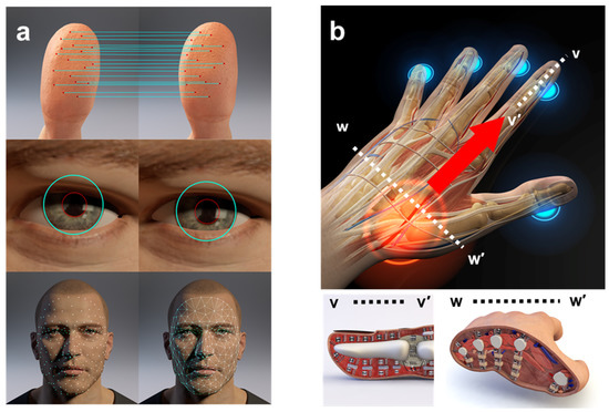 Biosensors | Free Full-Text | Multichannel Acoustic Spectroscopy of the ...