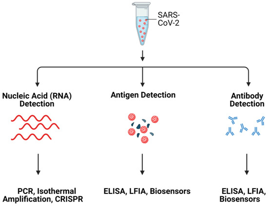 Angiotensin-Converting Enzyme 2-Based Biosensing Modalities