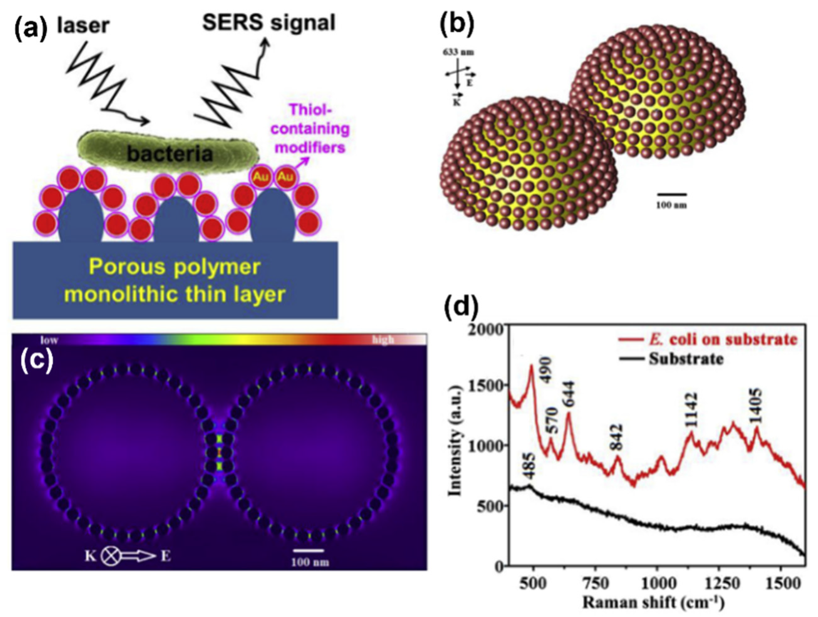 Biosensors | Free Full-Text | Optical Methods For Label-Free Detection ...