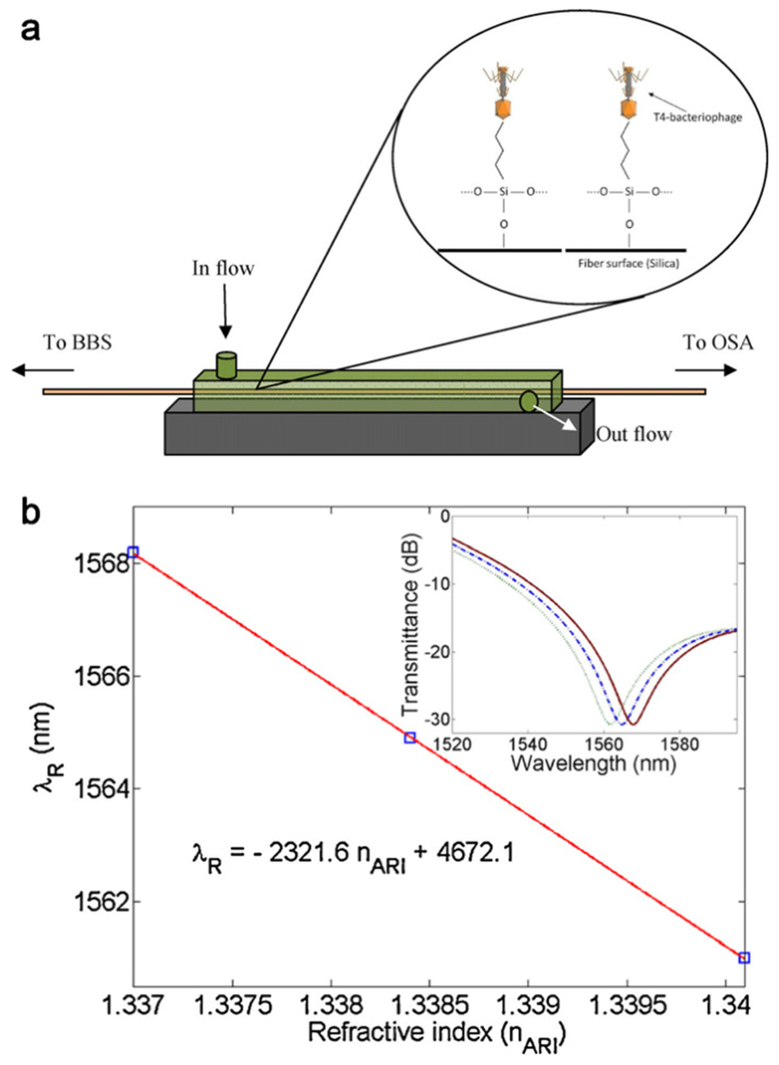 Biosensors | Free Full-Text | Optical Methods For Label-Free Detection ...