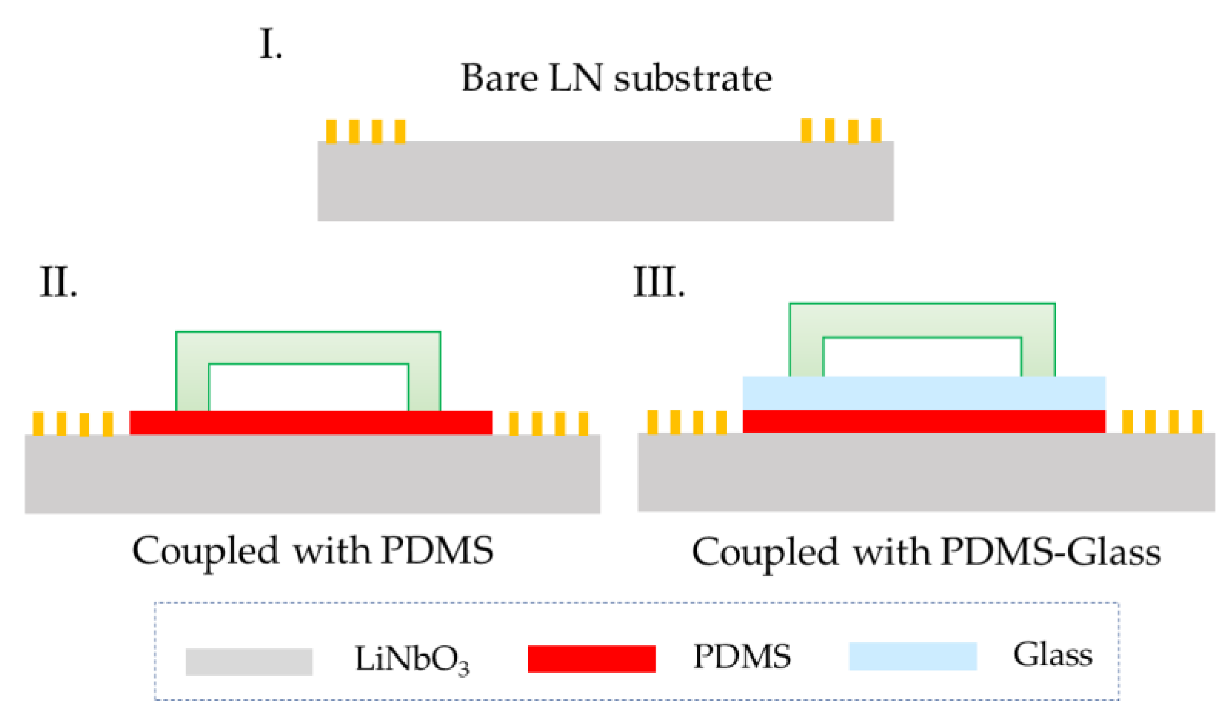 Biosensors 