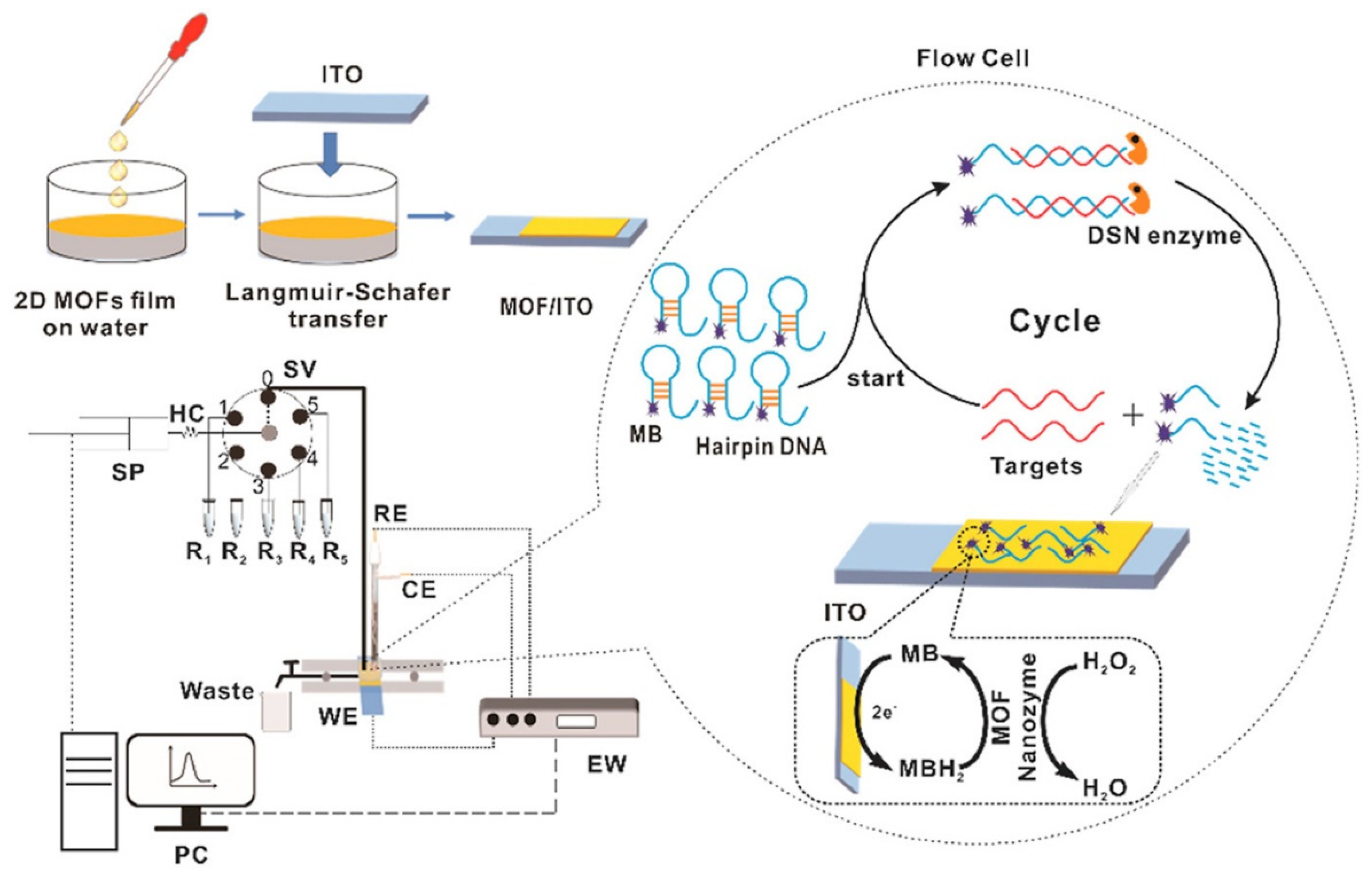 Two-dimensional metal-organic frameworks: From synthesis to