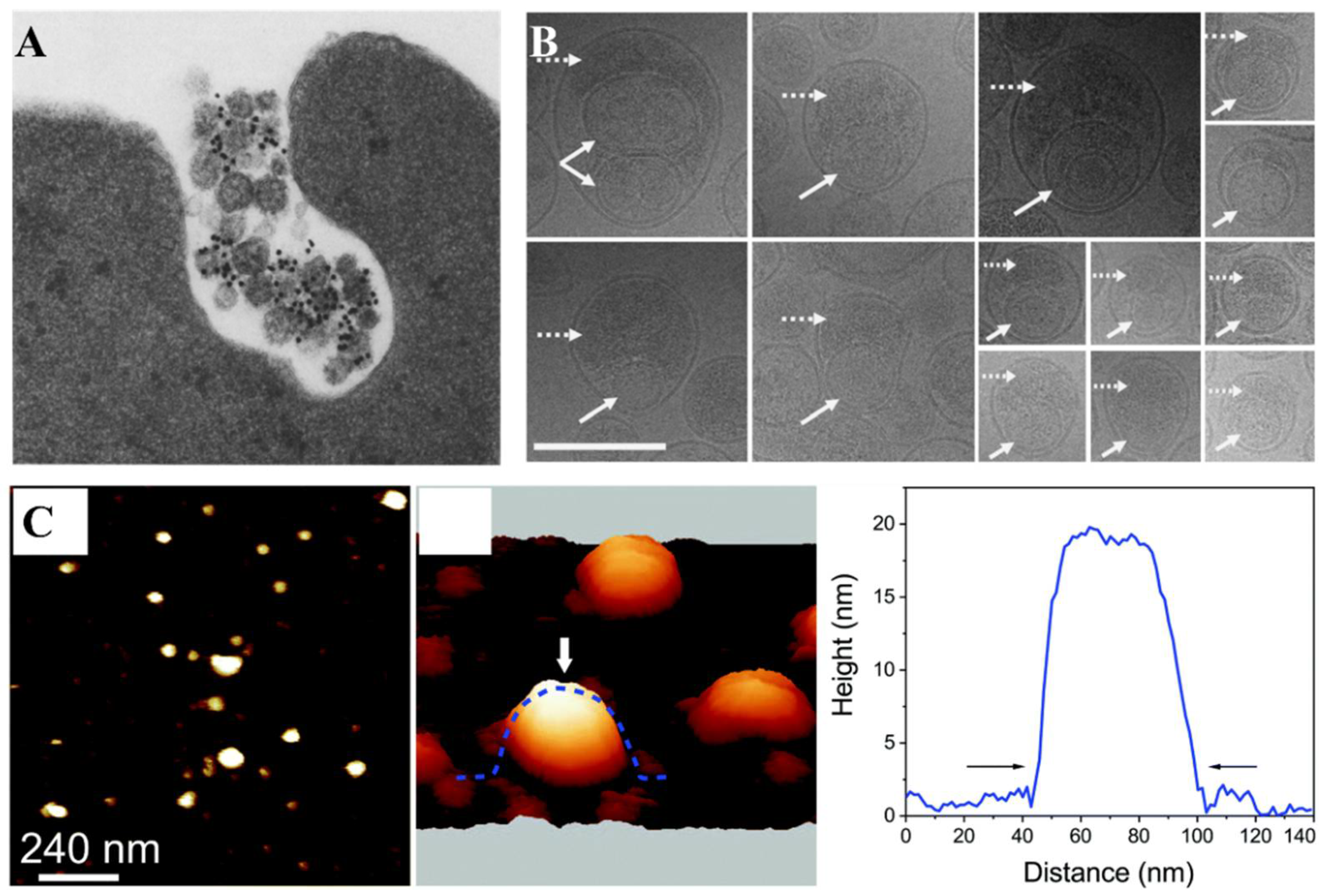 Biosensors | Free Full-Text | Current Advances In Technologies For ...