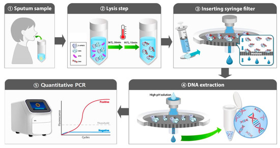 multicenter-testing-of-a-simple-molecular-diagnostic-system-for-the