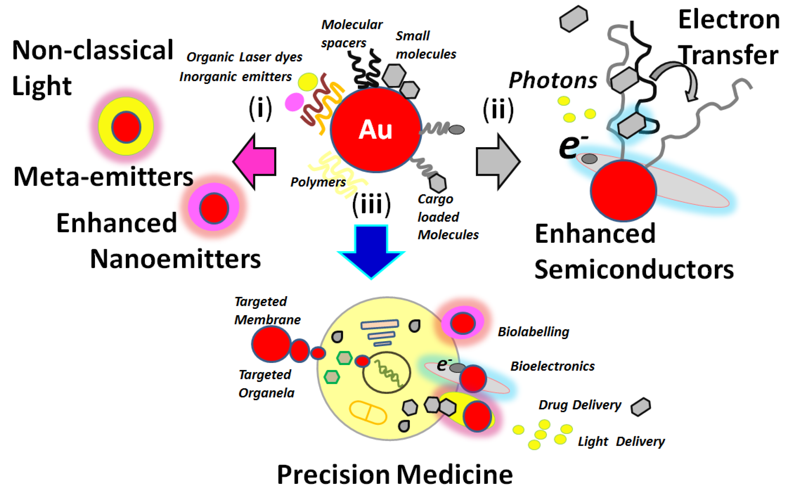 Biosensors | Free Full-Text | Current Advances in Nanotechnology