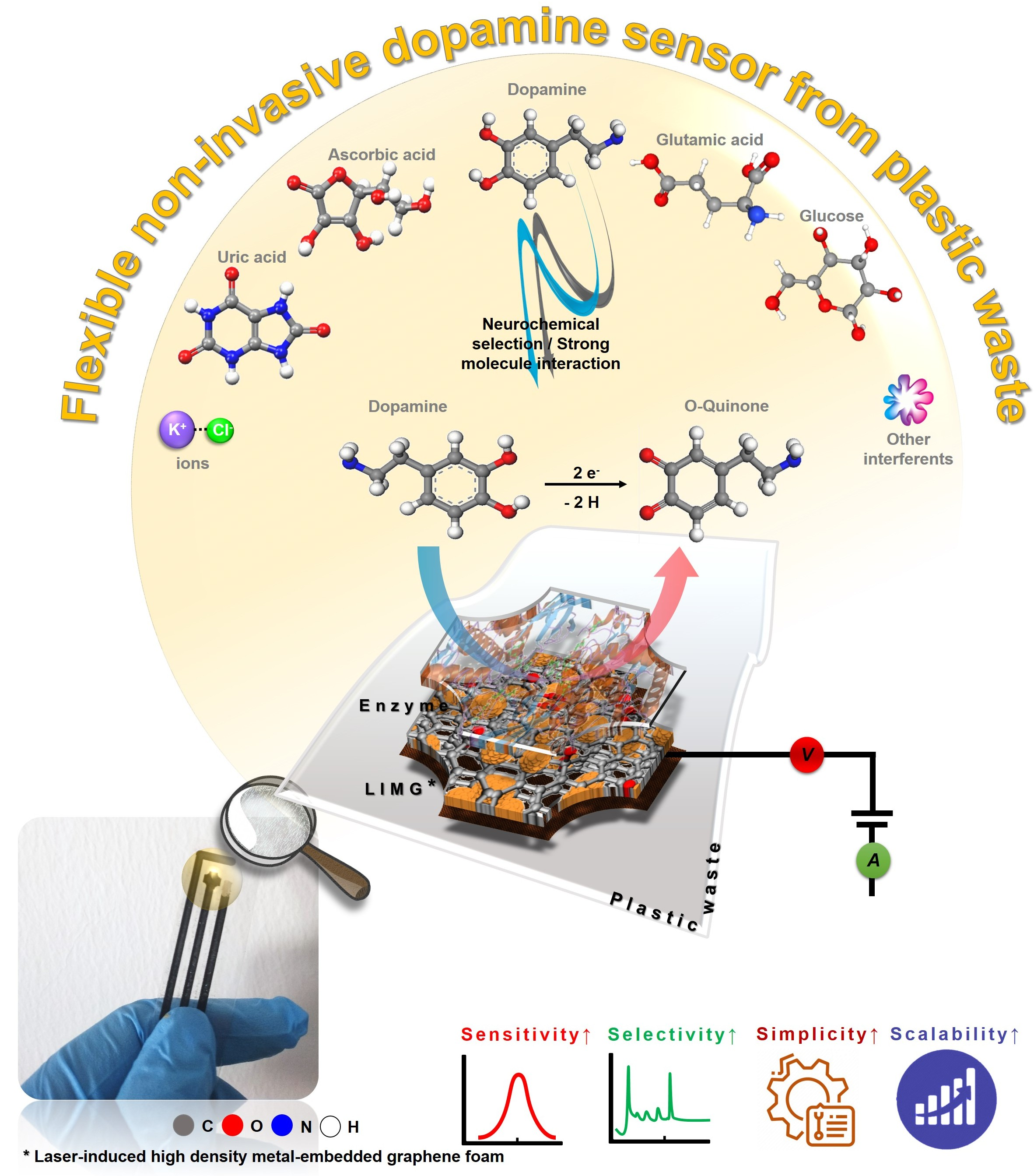 Physical and Chemical Sensors on the Basis of Laser-Induced Graphene:  Mechanisms, Applications, and Perspectives