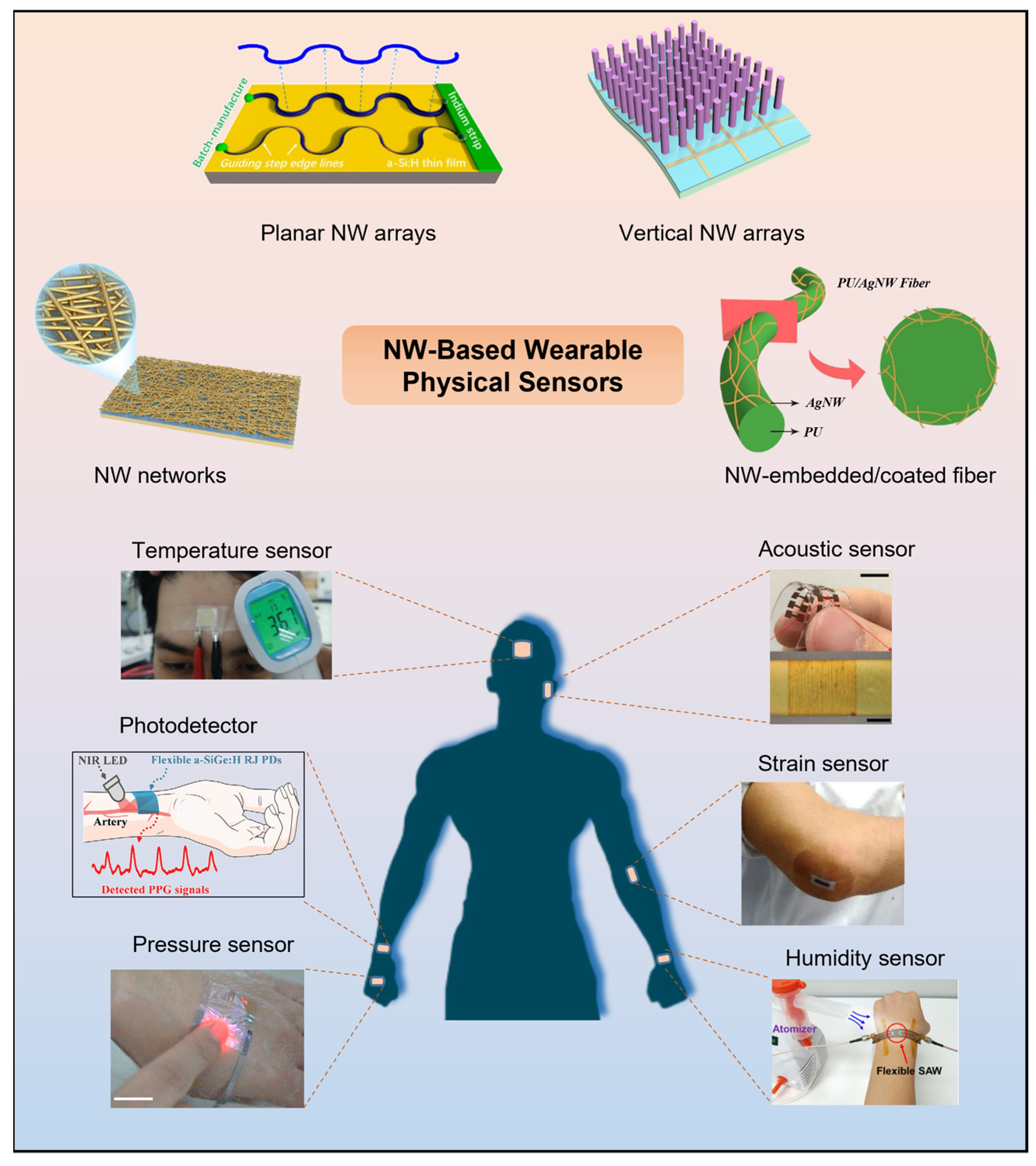 Thermo-electric wearable sensors. (a) The structure of a