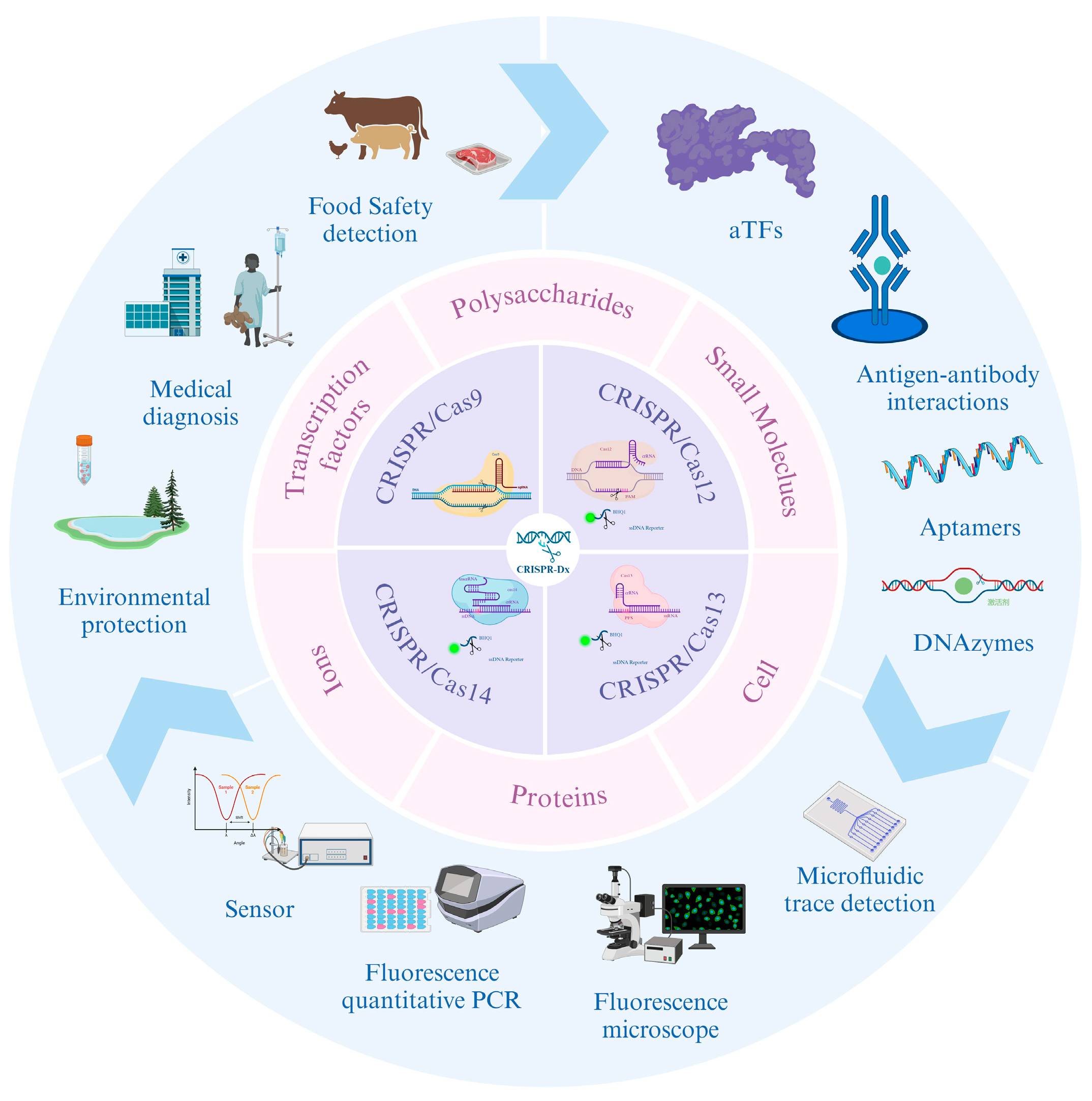 Mitigating Antibiotic Resistance: The Utilization Of Crispr Technology 