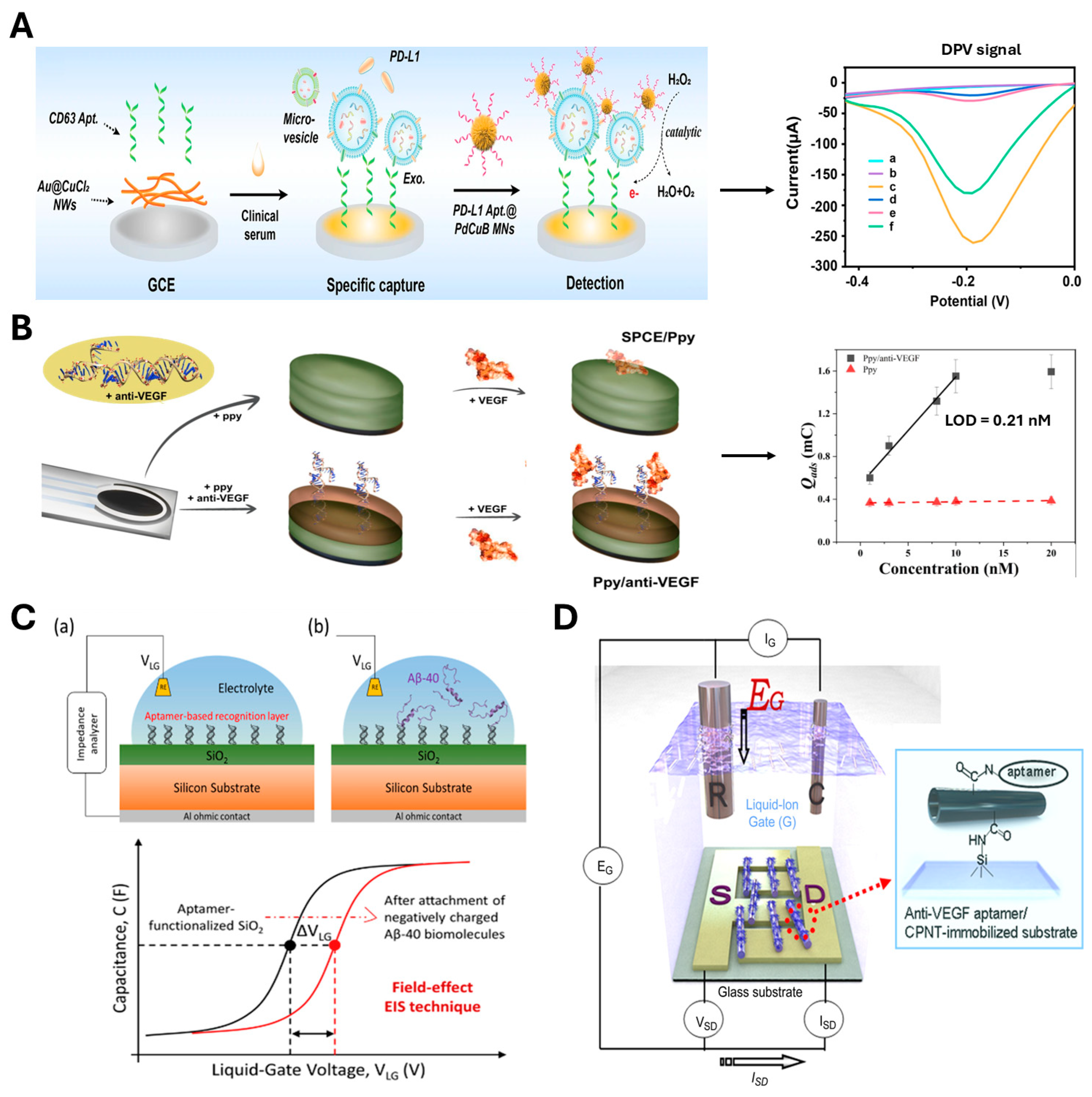 Aptamers as Diagnostic and Therapeutic Agents for Aging and