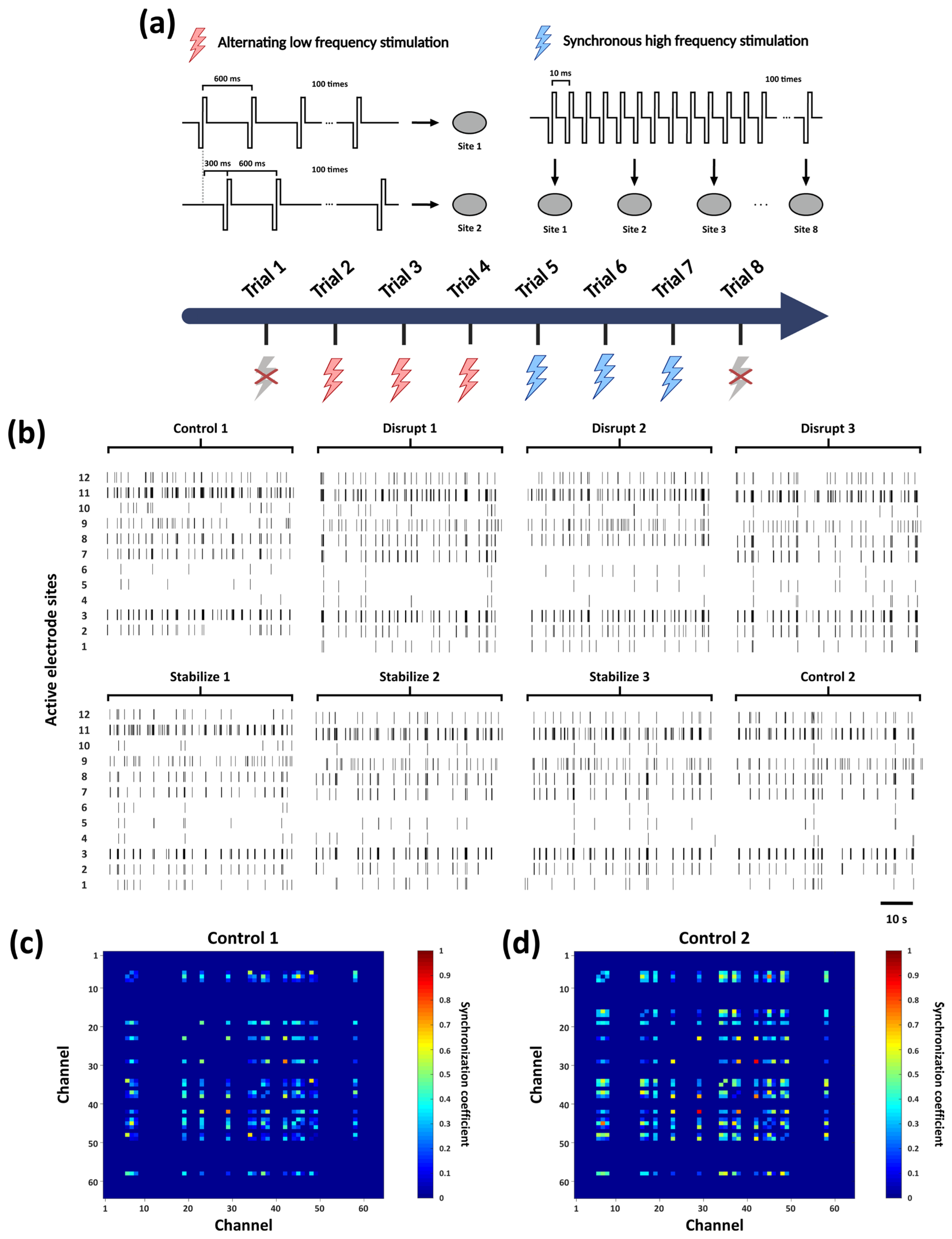 Regulation of Synaptic Plasticity and Adaptive Convergence Under ...