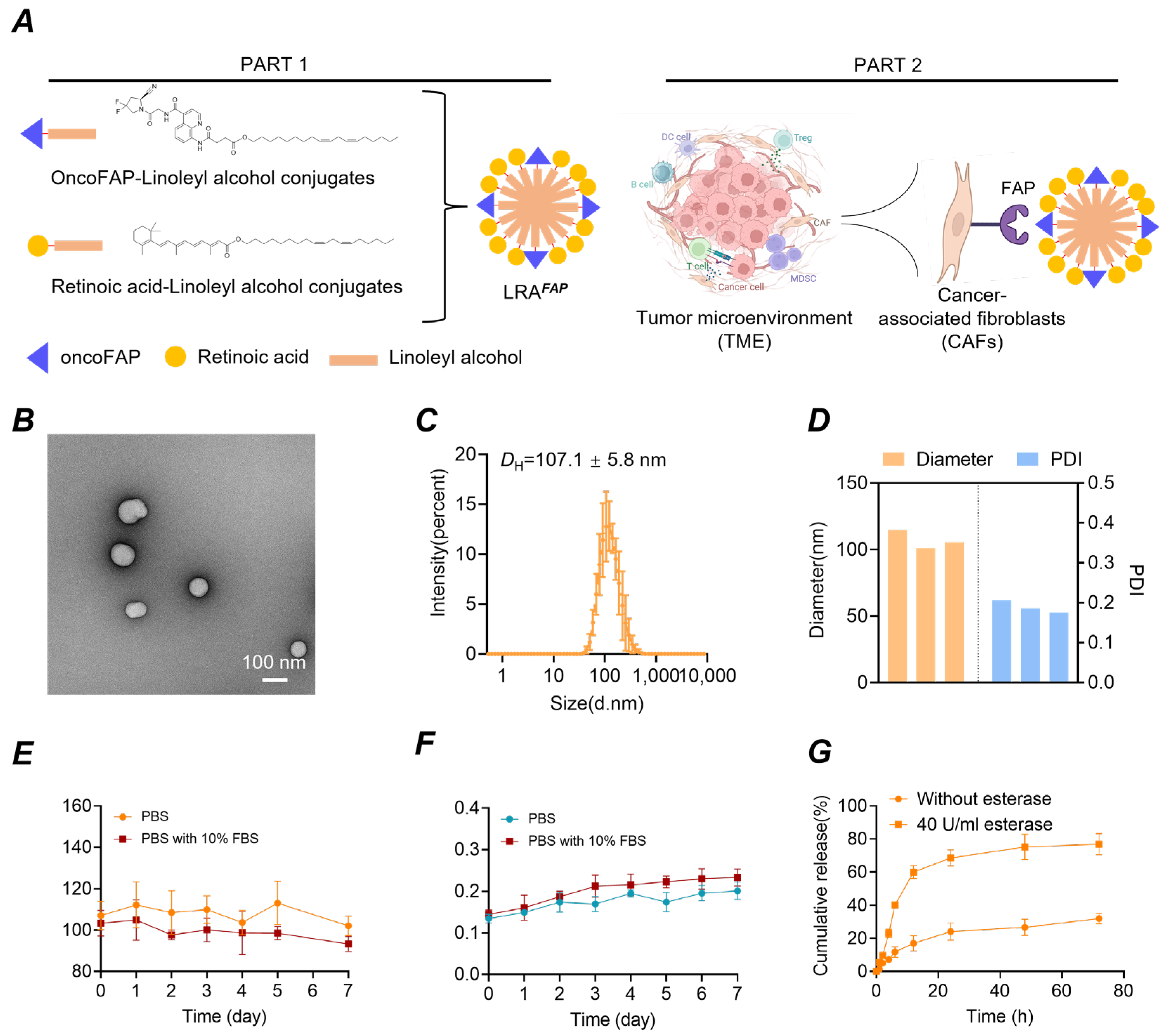 FAP-Anchored Retinoic Acid Nanoparticles for Stromal Reprogramming and ...