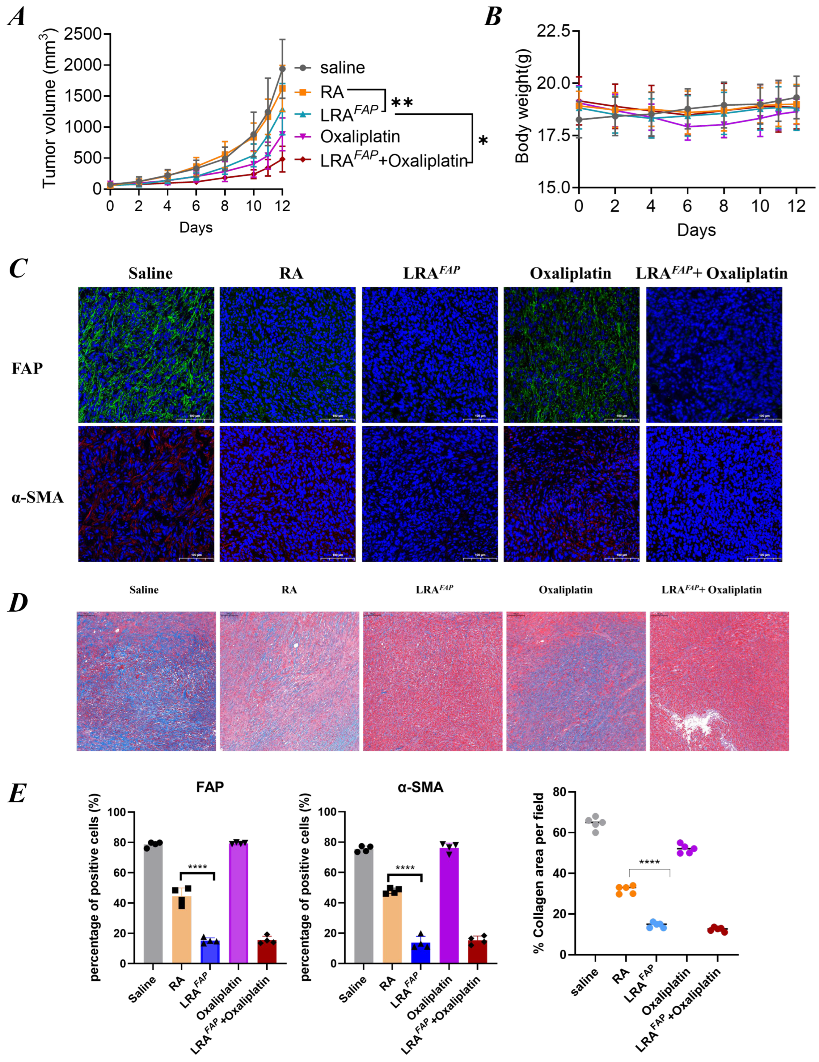 FAP-Anchored Retinoic Acid Nanoparticles for Stromal Reprogramming and ...