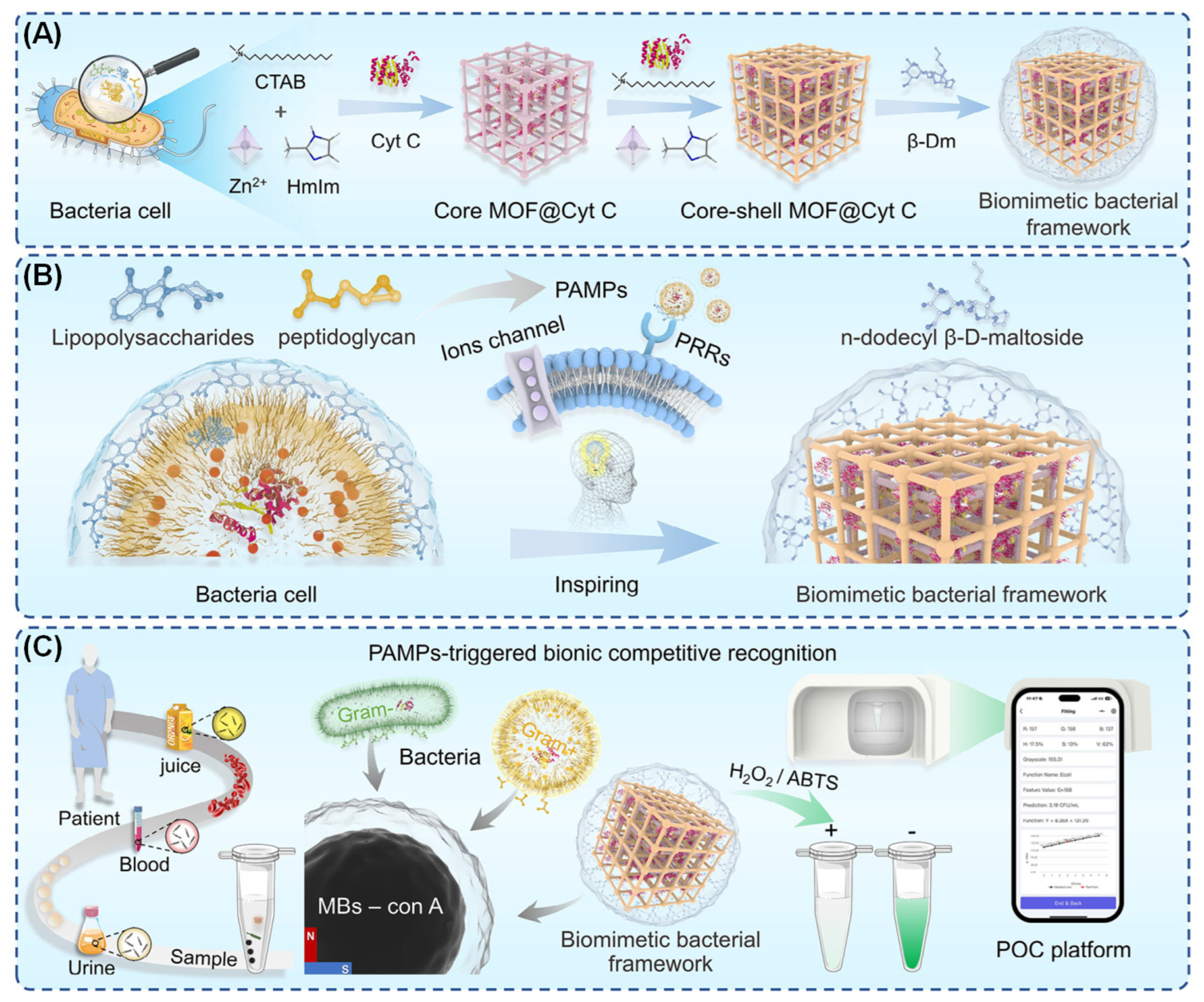 Recent Advances in Metal–Organic Framework-Based Nanozymes for Enhanced ...
