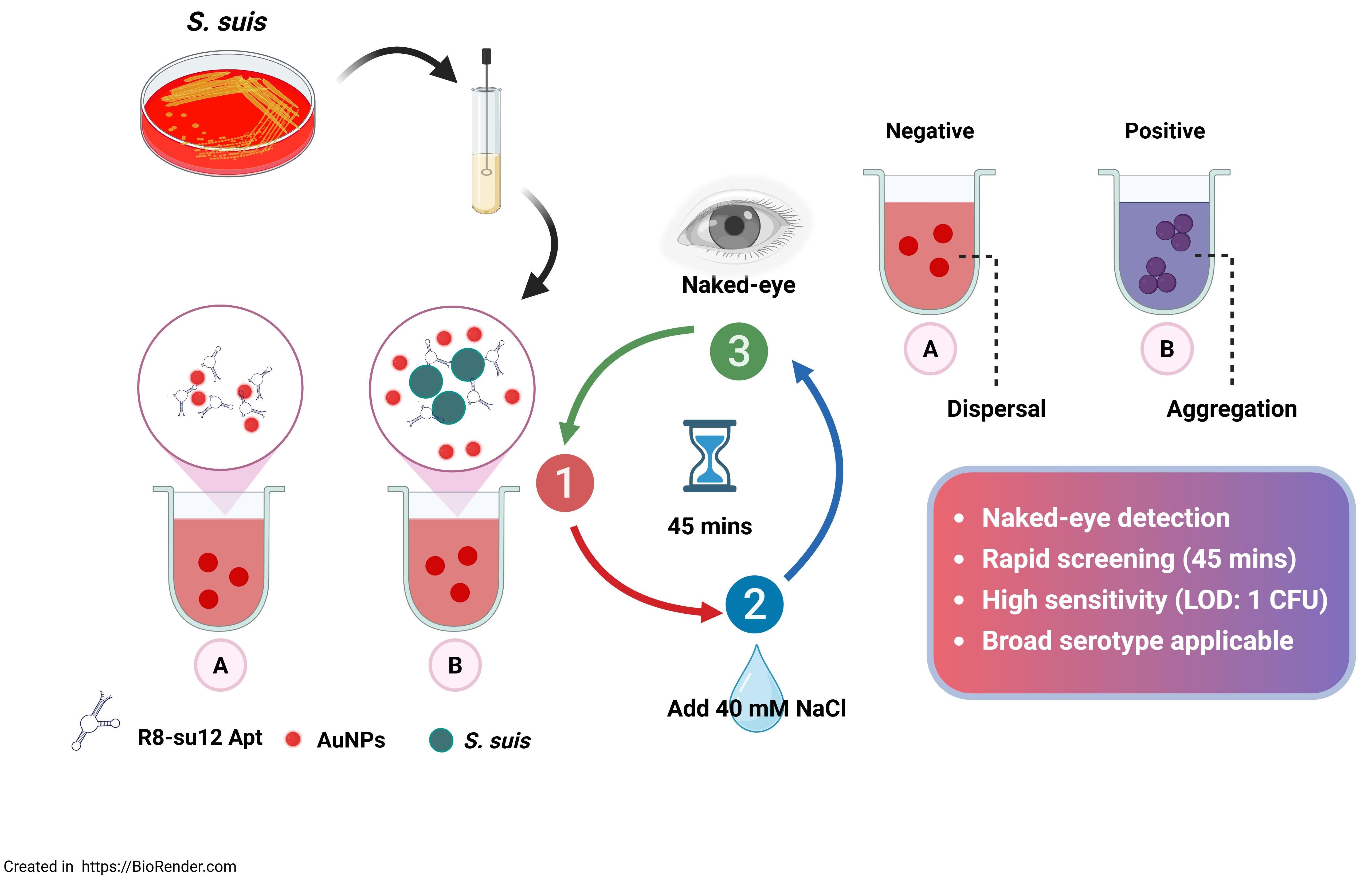 Aptamer-Based Label-Free Colorimetric Assay Using Gold Nanoparticles ...