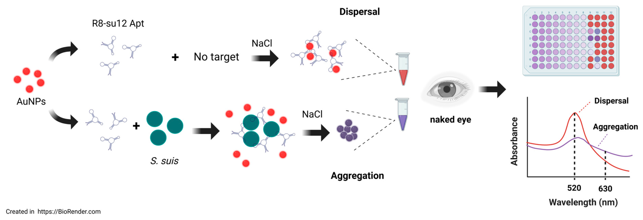 Aptamer-Based Label-Free Colorimetric Assay Using Gold Nanoparticles ...
