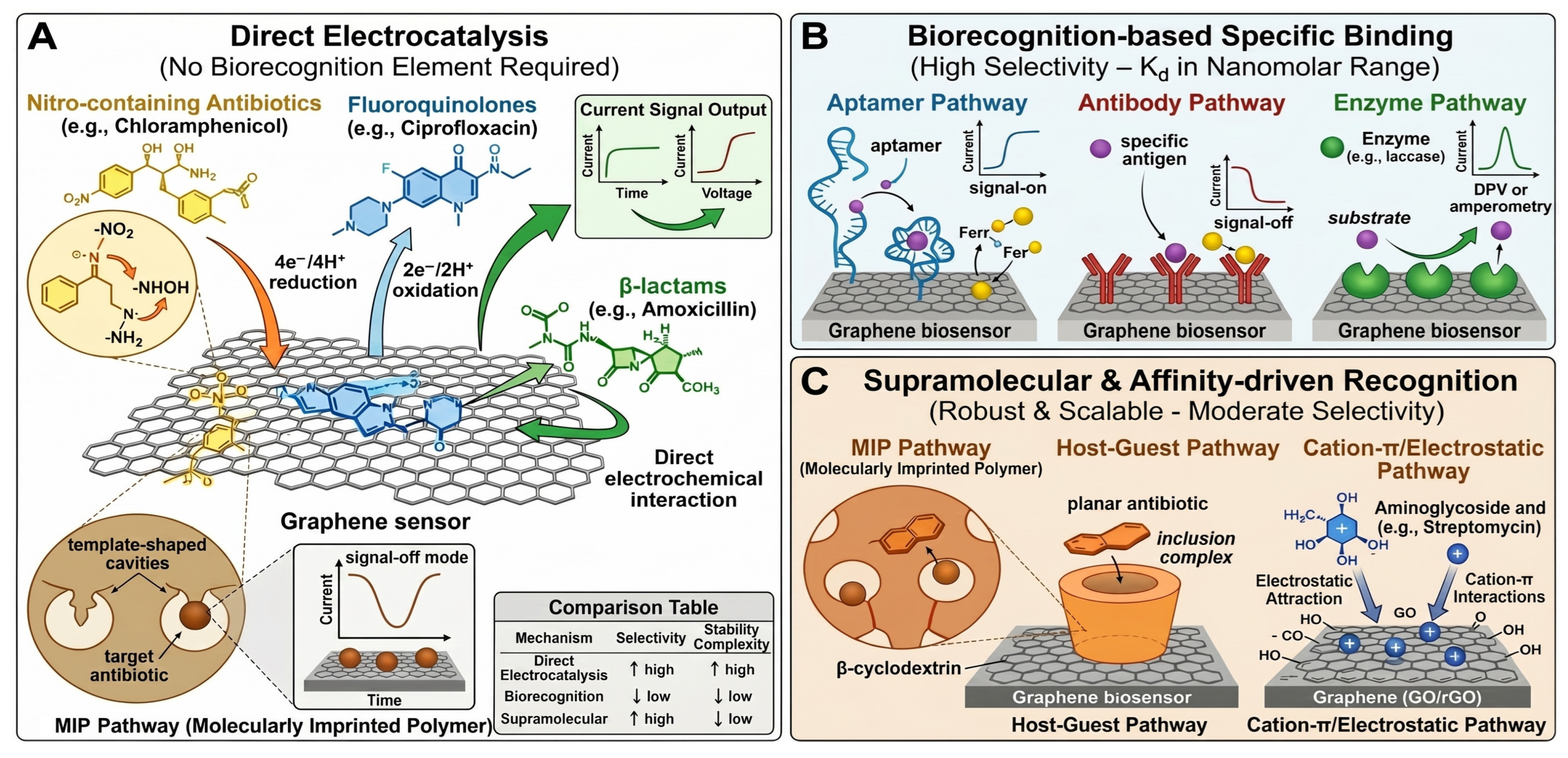 Recent Advances in Electrochemical Detection of Antibiotics on Graphene ...