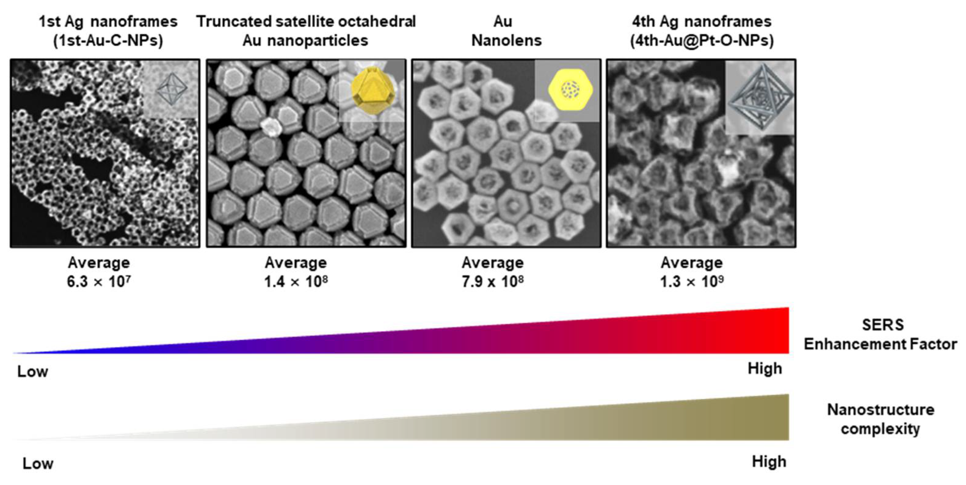 Omics-Guided Insights into Nanoparticle Complexity and Neural Regeneration