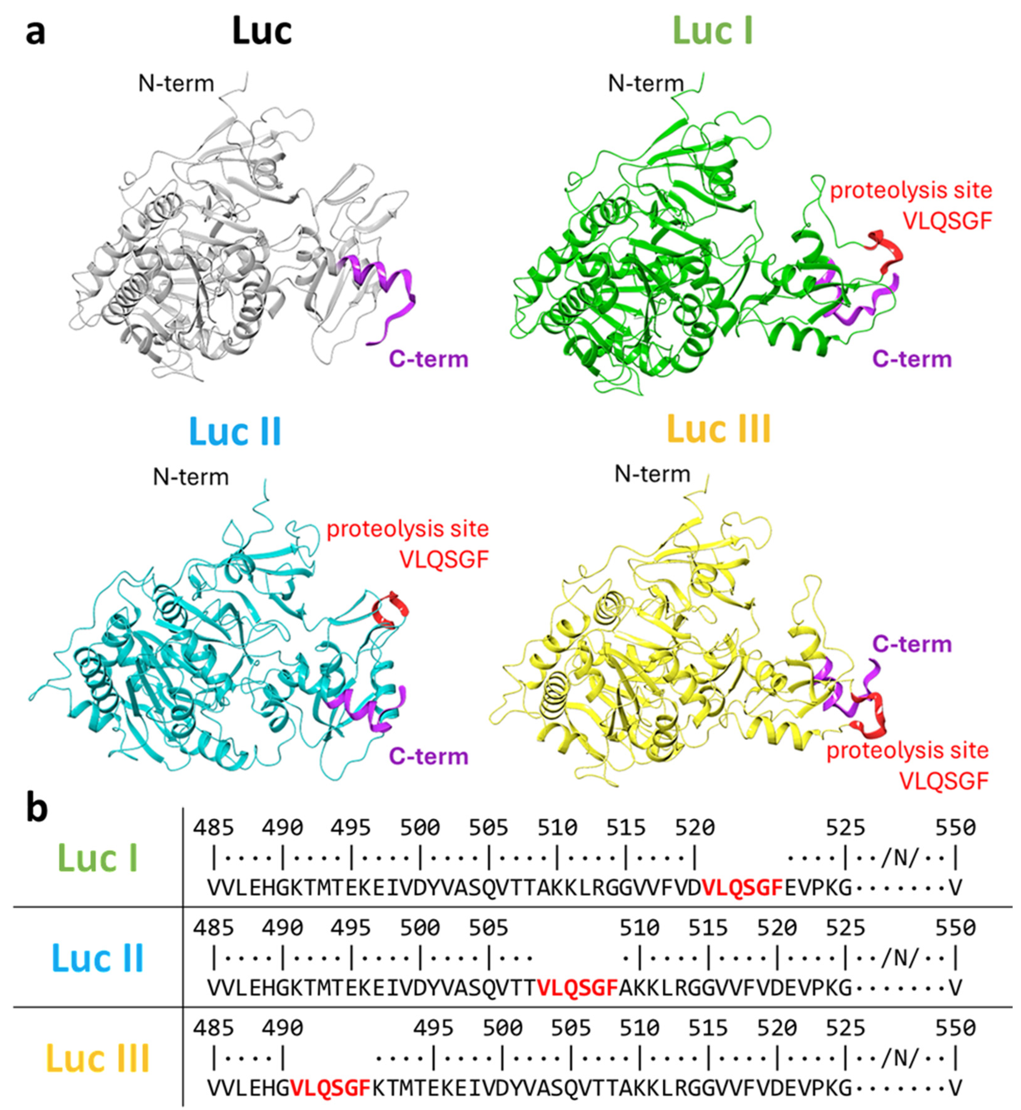 Cell-Based Luciferase Assay for Testing SARS-CoV-2 3CL Protease Inhibitors