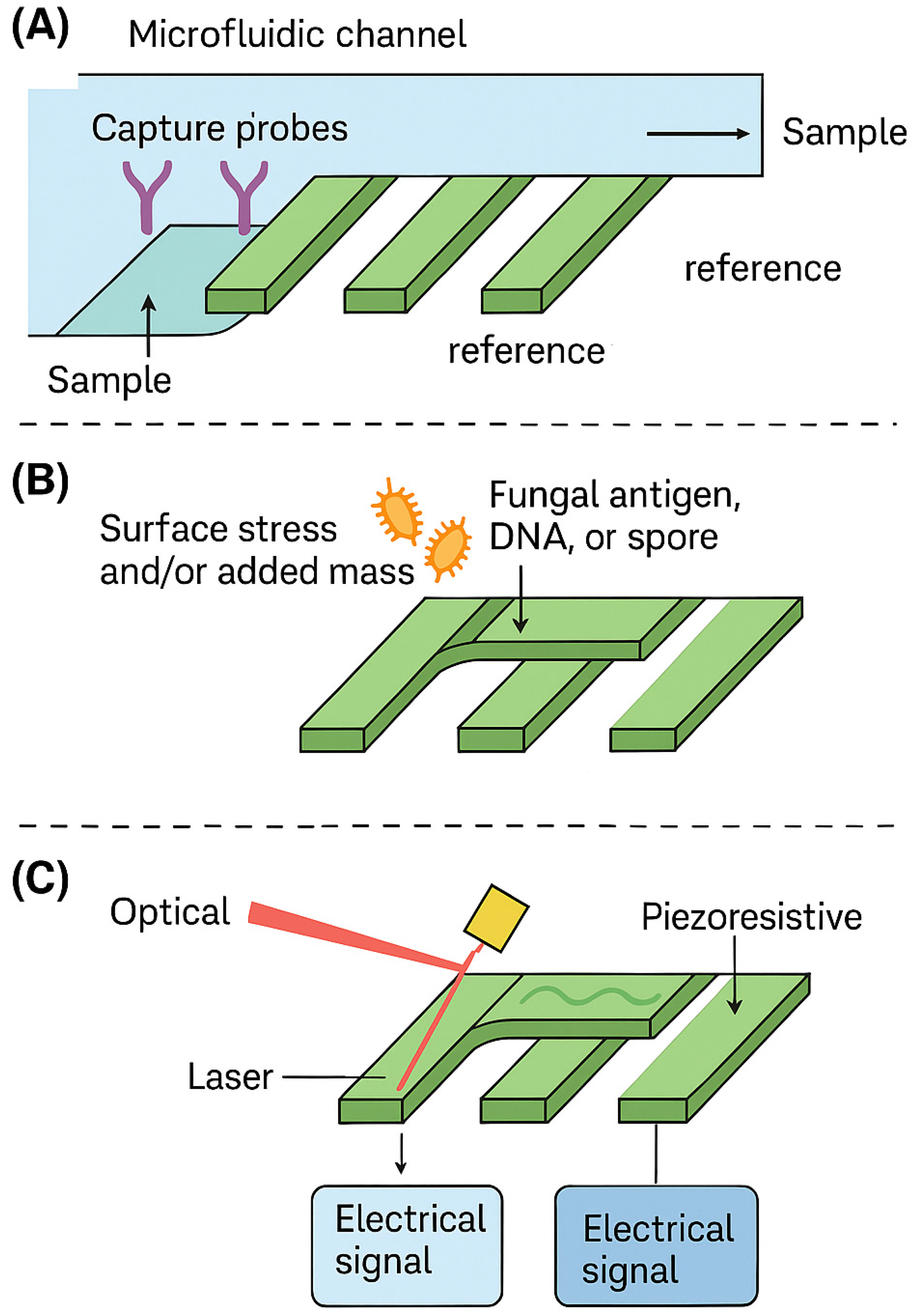 Microfluidic and MEMS-Based Biosensing Platforms for Fungal Respiratory ...