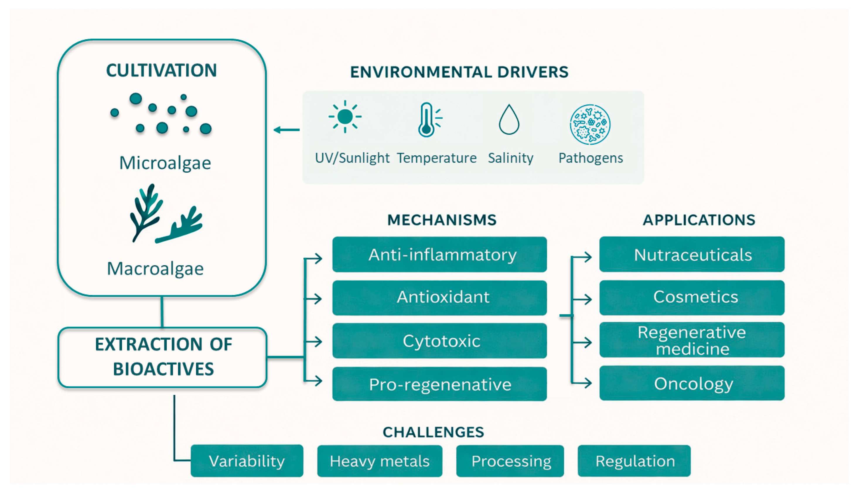 Algae-Derived Bioactive Compounds as Platforms for Translational ...