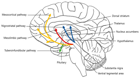 Brain Sciences | Free Full-Text | Association between Chronic Pain and ...